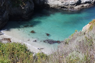 A serene coastal cove with clear turquoise water bordered by rugged rocky cliffs. The shore is lined with fine white sand, and patches of seaweed are scattered along the beach. Lush green vegetation with small yellow flowers grows on the slope leading down to the cove.