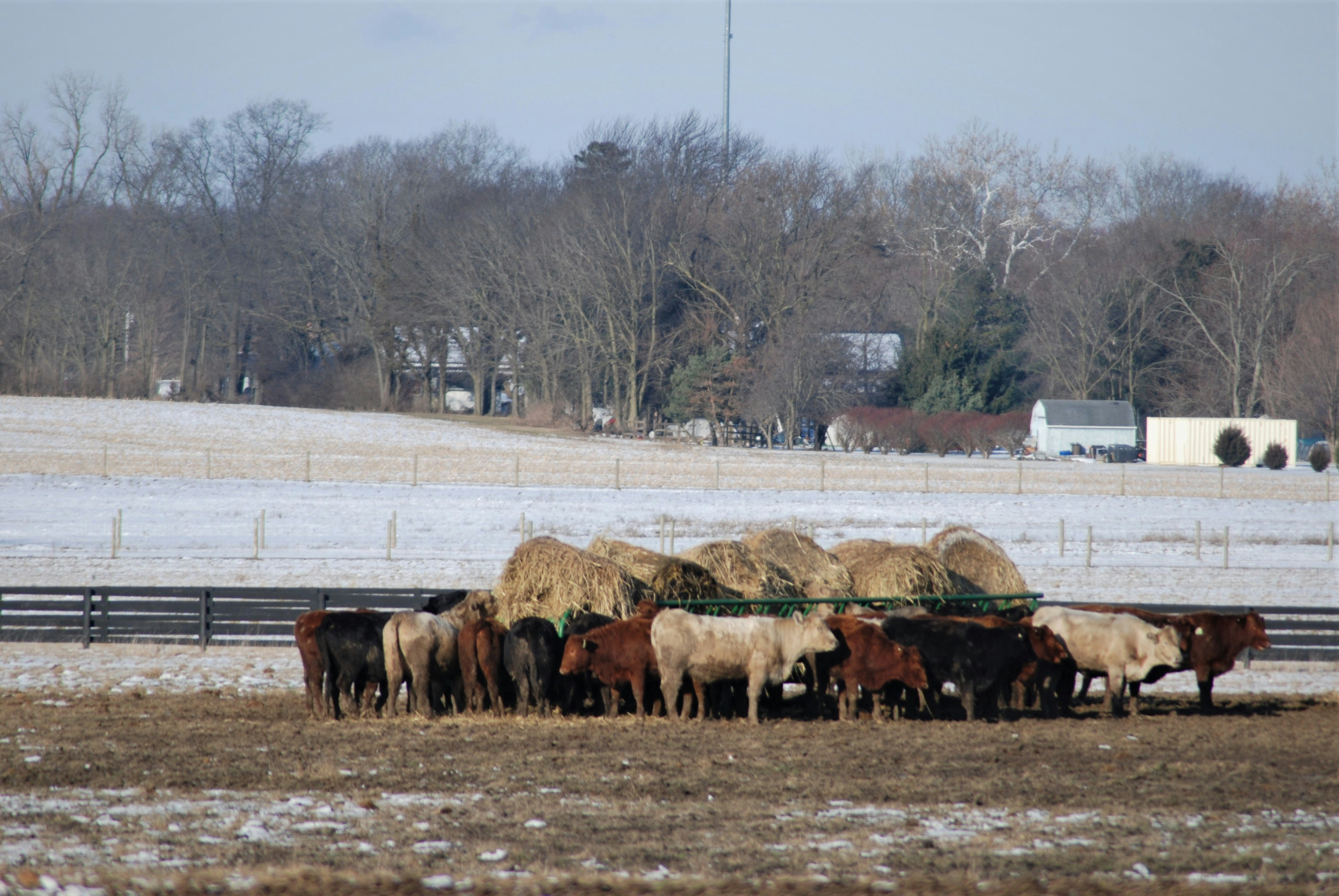 Rangeland and Pasture Research