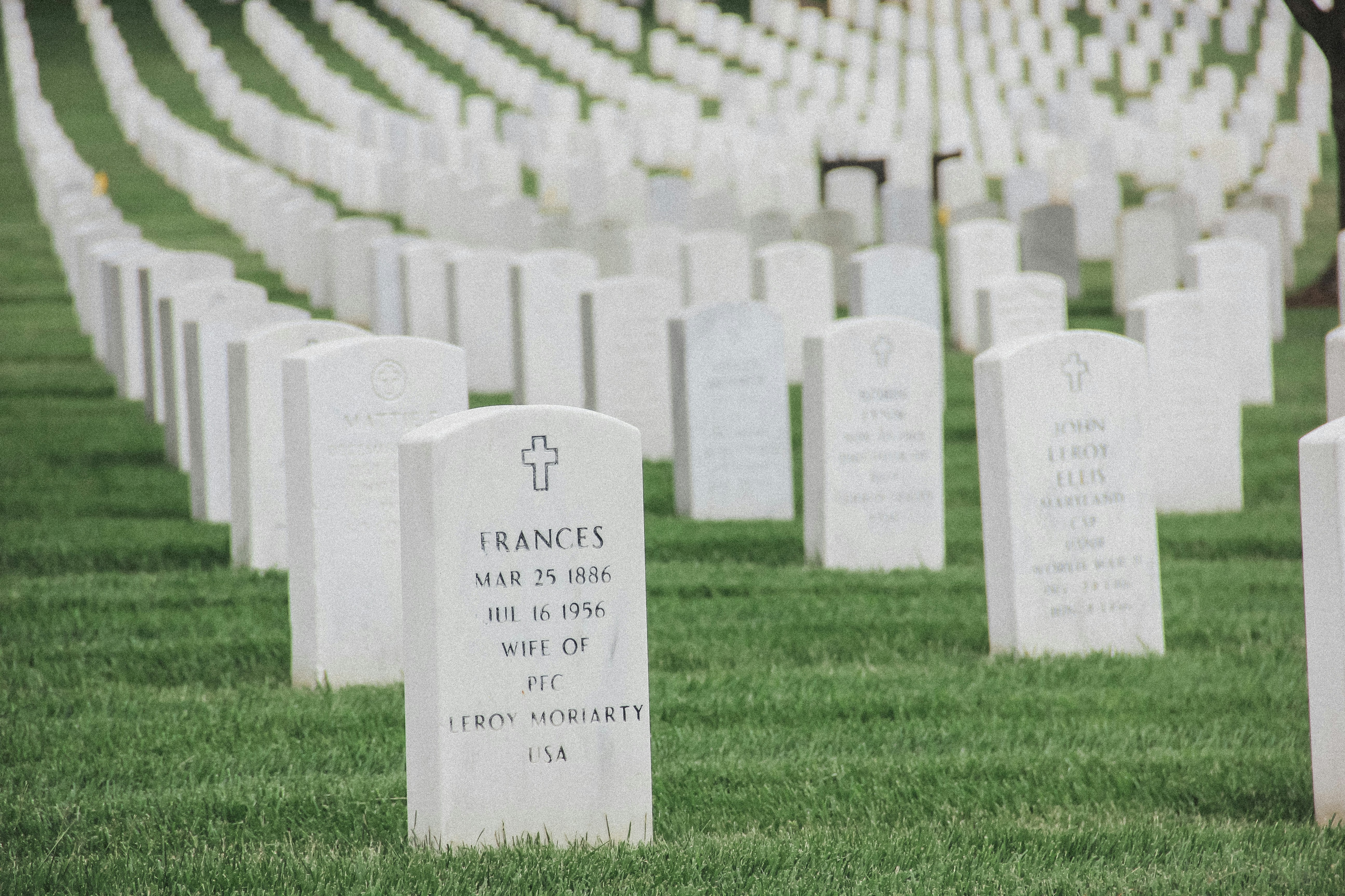 Photo by wonderwallphotos