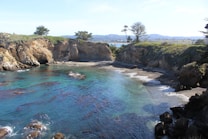 A secluded, rocky cove with clear turquoise water surrounded by cliffs. Sparse trees and lush greenery line the top of the cliffs, creating a serene, natural setting. In the distance, rolling hills can be seen under a bright, sunny sky.