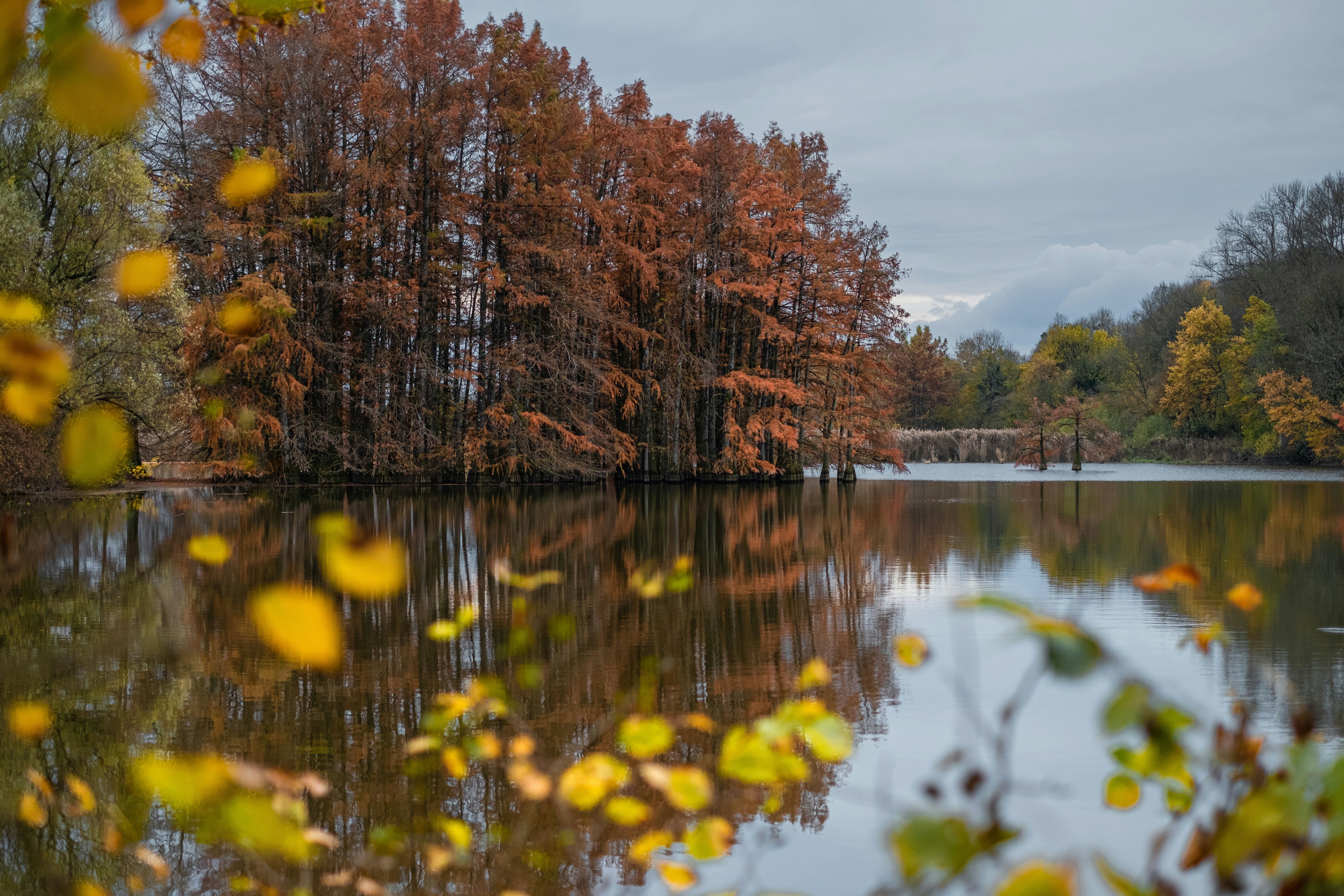 Photo by flousentimental