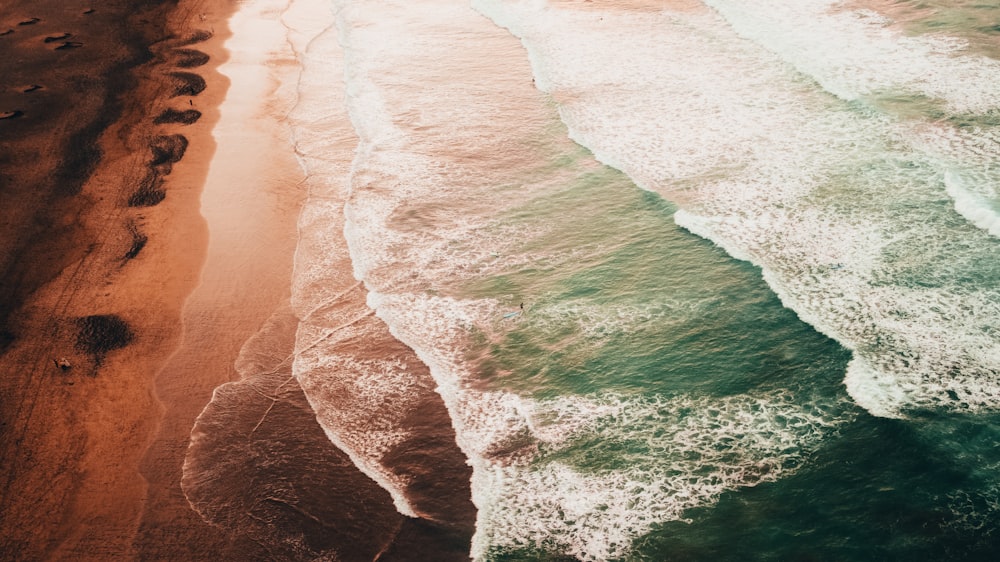 an aerial view of a beach and the ocean