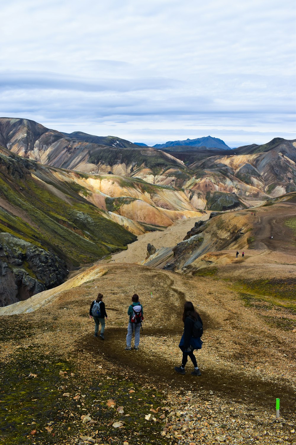 a group of people walking up a hill