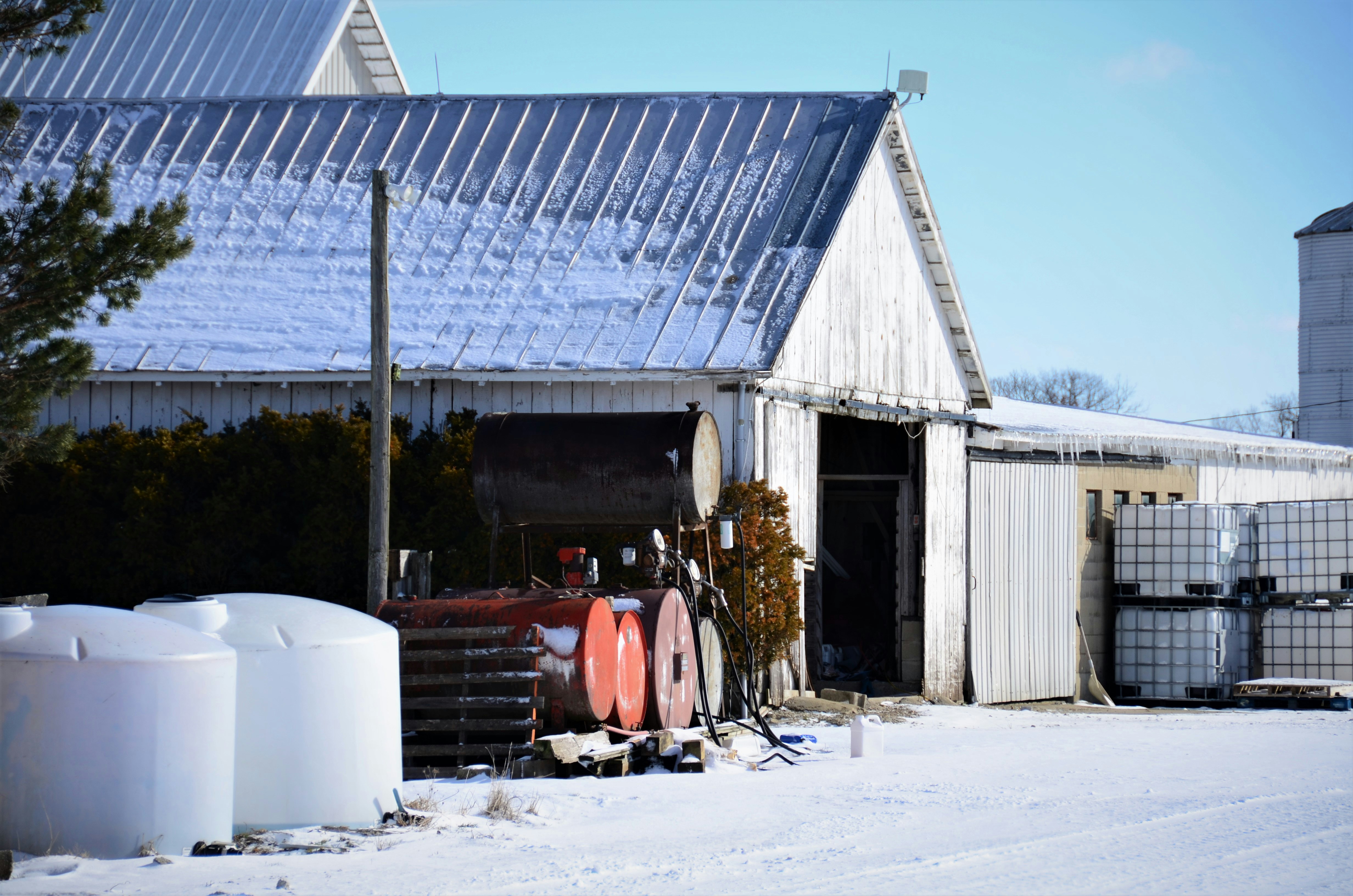 Boerderij te Winkel ijs Clara Bella