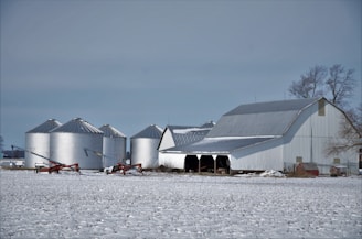 A rural landscape depicting a farm in winter, featuring several large, metallic grain silos and a white barn with a corrugated metal roof. The ground is covered with a light layer of snow, and there are bare trees visible, indicating a cold season.