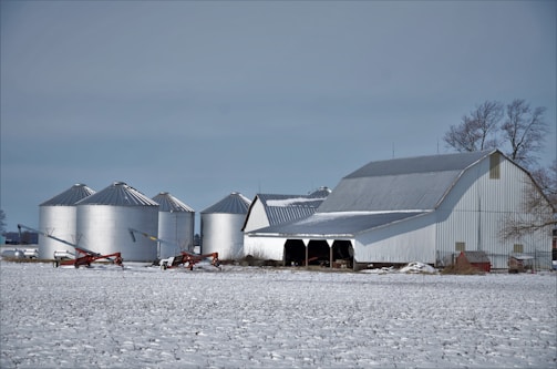 A rural landscape depicting a farm in winter, featuring several large, metallic grain silos and a white barn with a corrugated metal roof. The ground is covered with a light layer of snow, and there are bare trees visible, indicating a cold season.