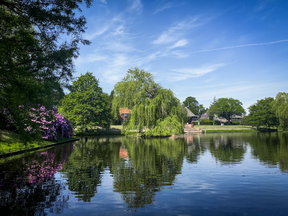 a body of water surrounded by lush green trees