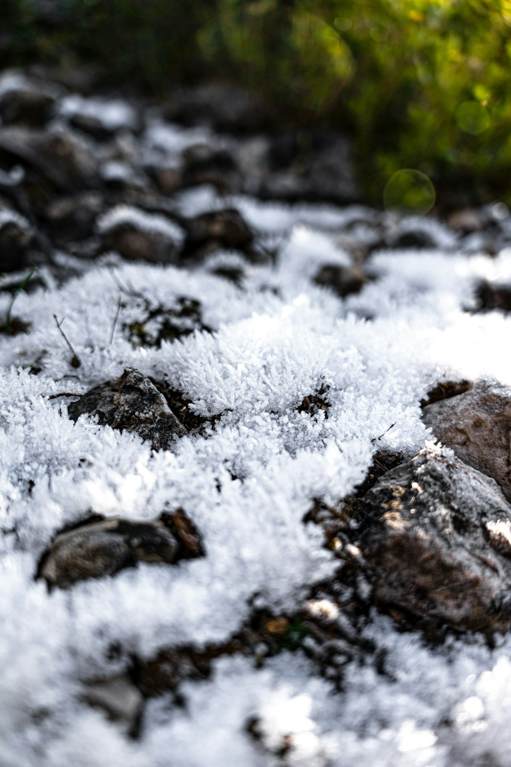 a close up of snow on rocks and grass