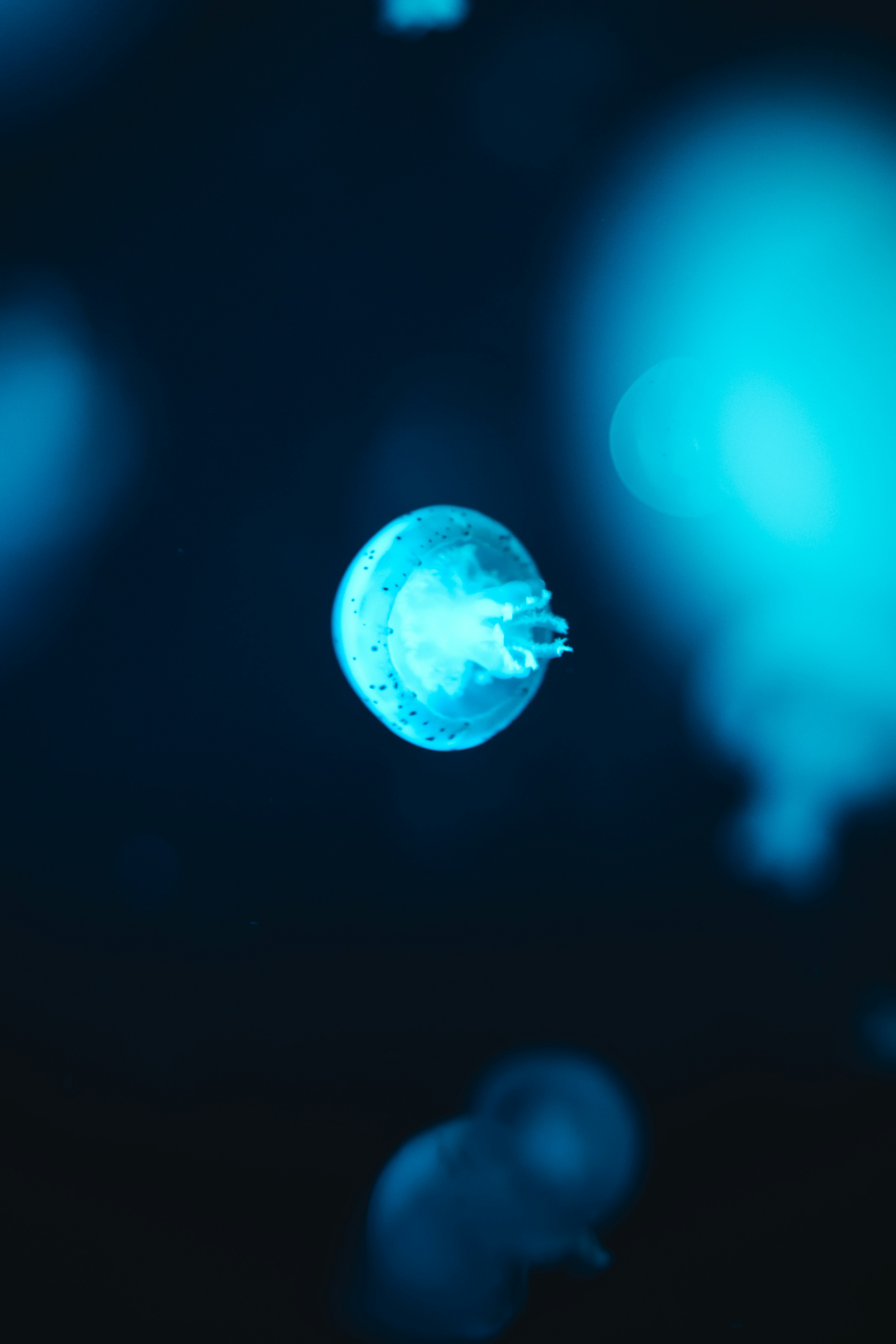 Photo by mauricesahl