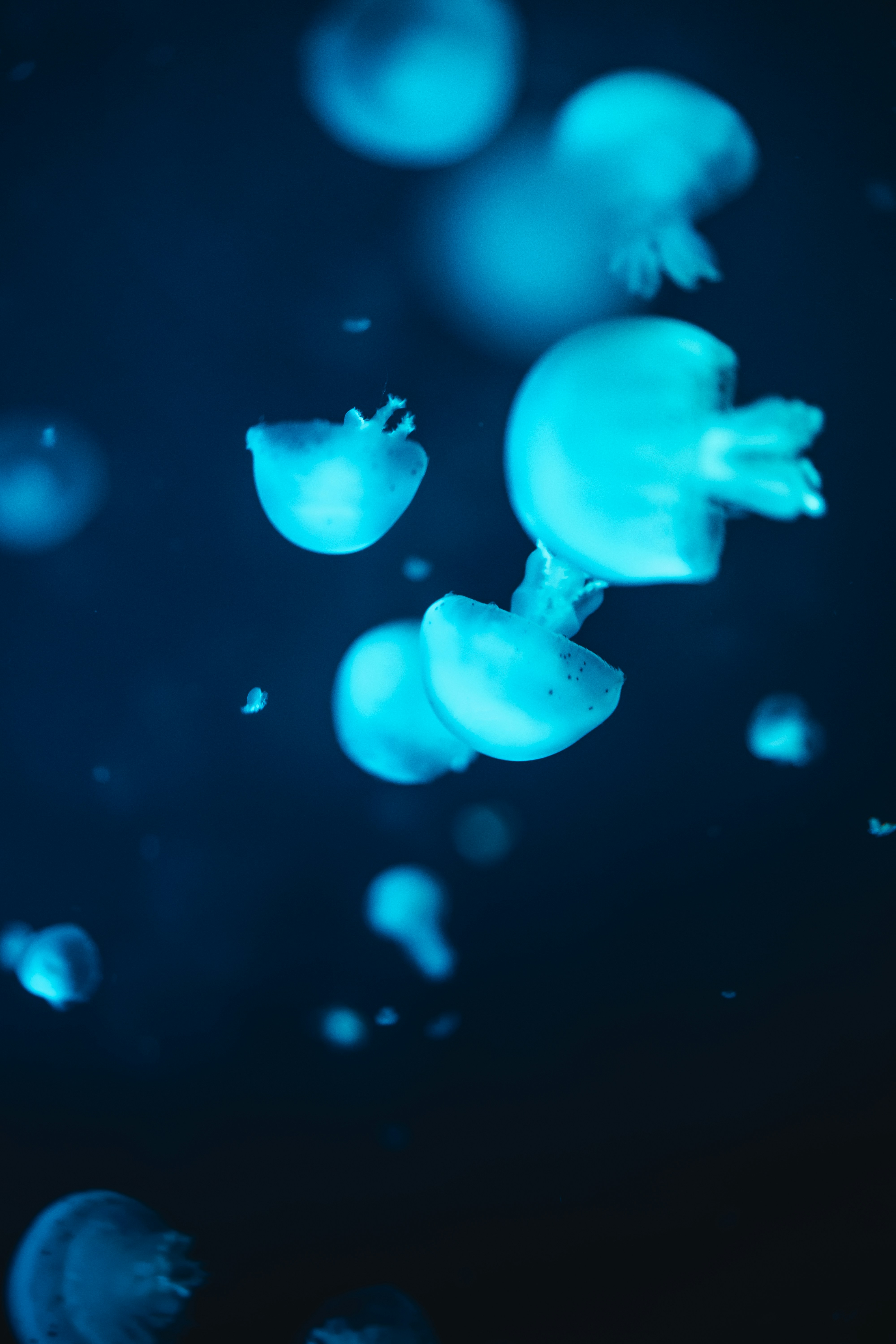 Photo by mauricesahl