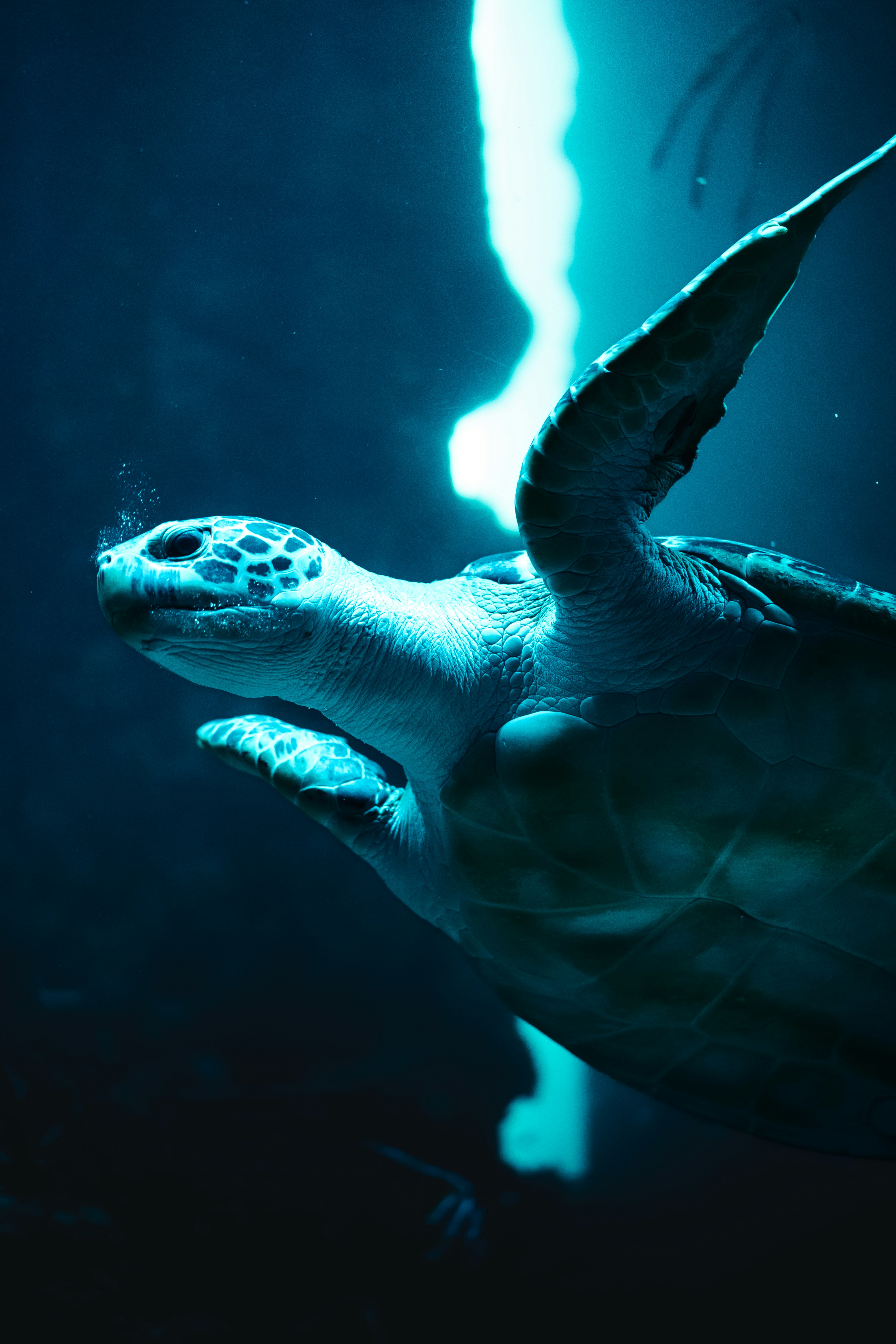 Photo by mauricesahl