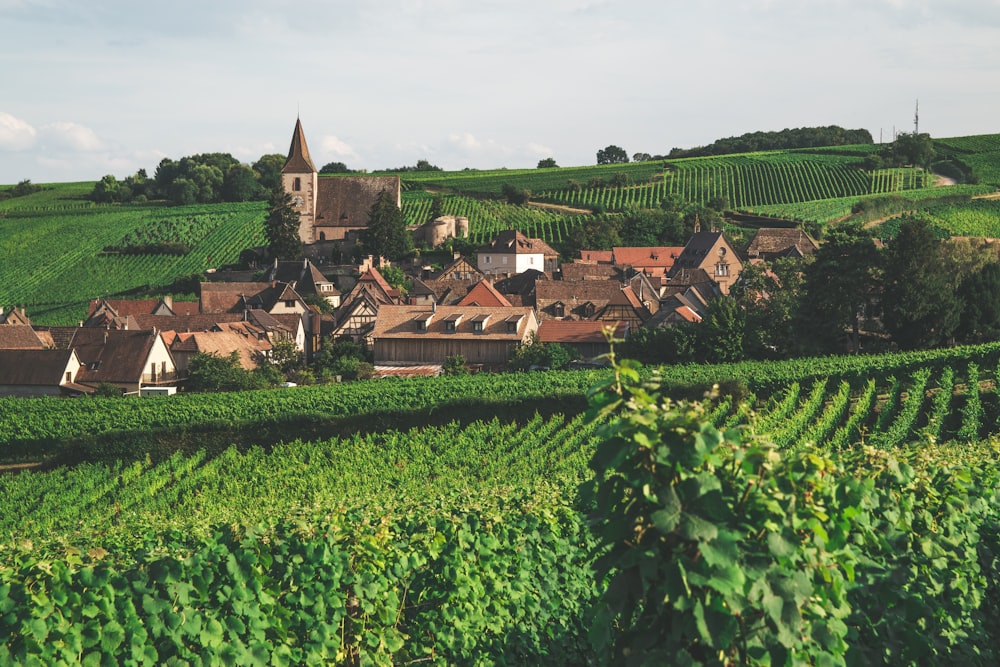 Un petit village entouré de champs verdoyants