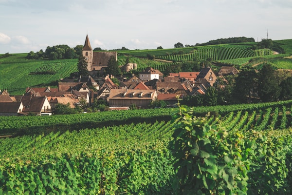 Village alsacien entouré de vignobles, Route des Vins d'Alsace