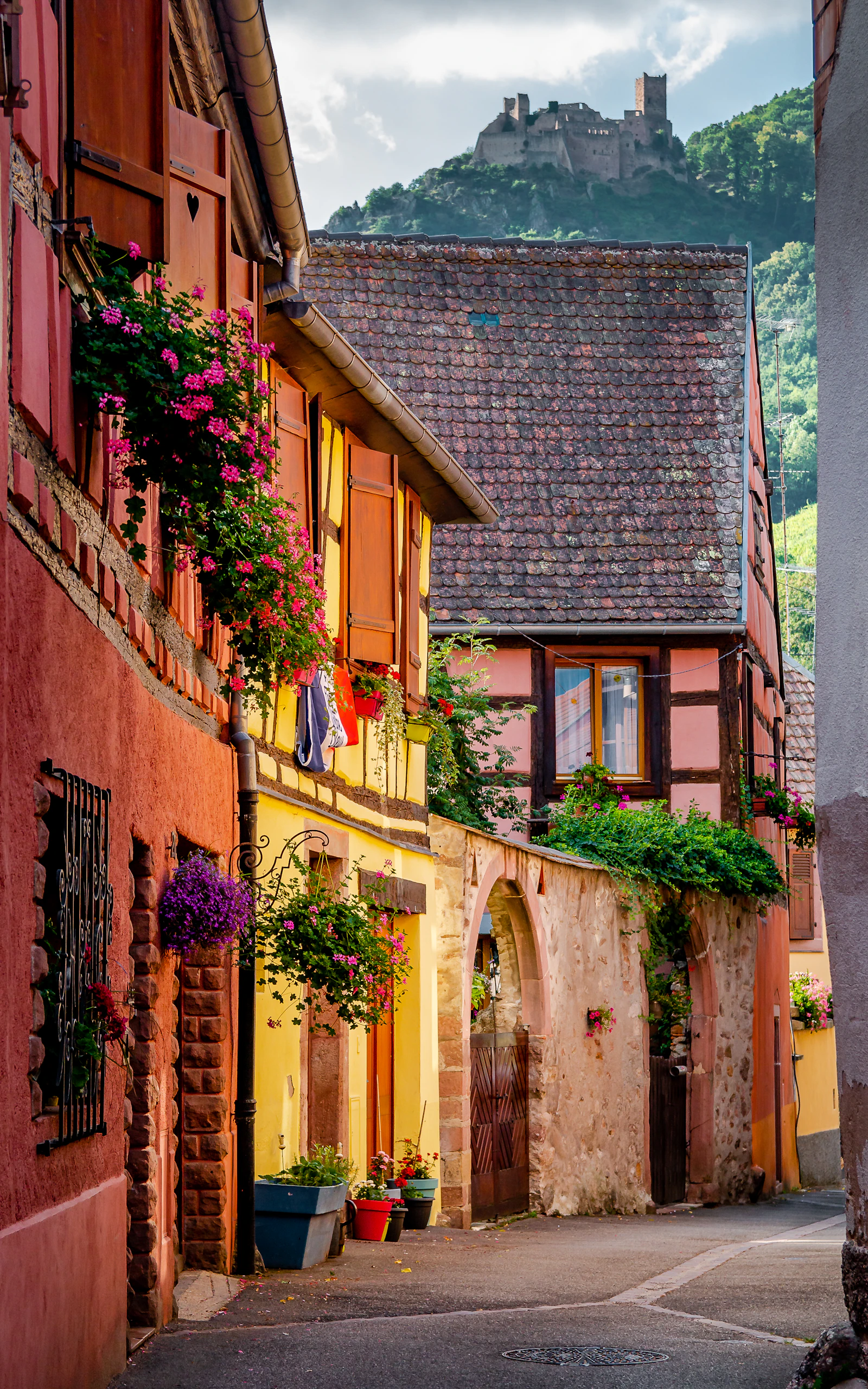 Colmar & Route des Vins