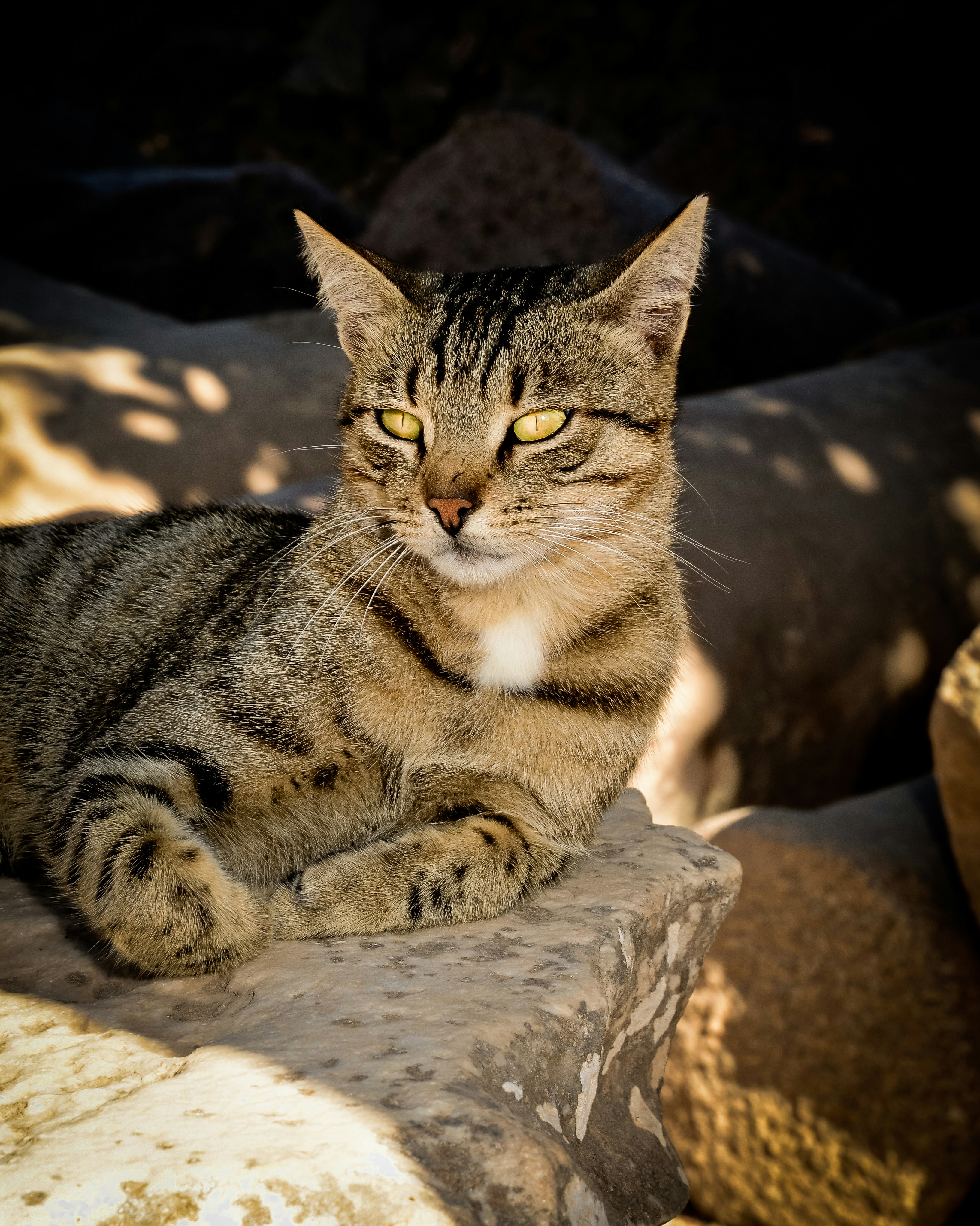 Photo by simonclare1