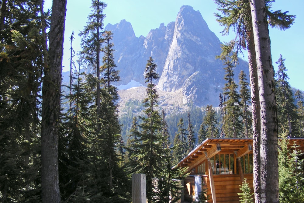 a cabin in the woods with a mountain in the background