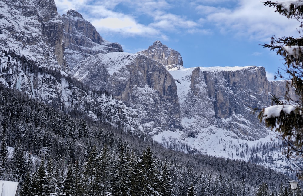 a snow covered mountain with trees and a sky background