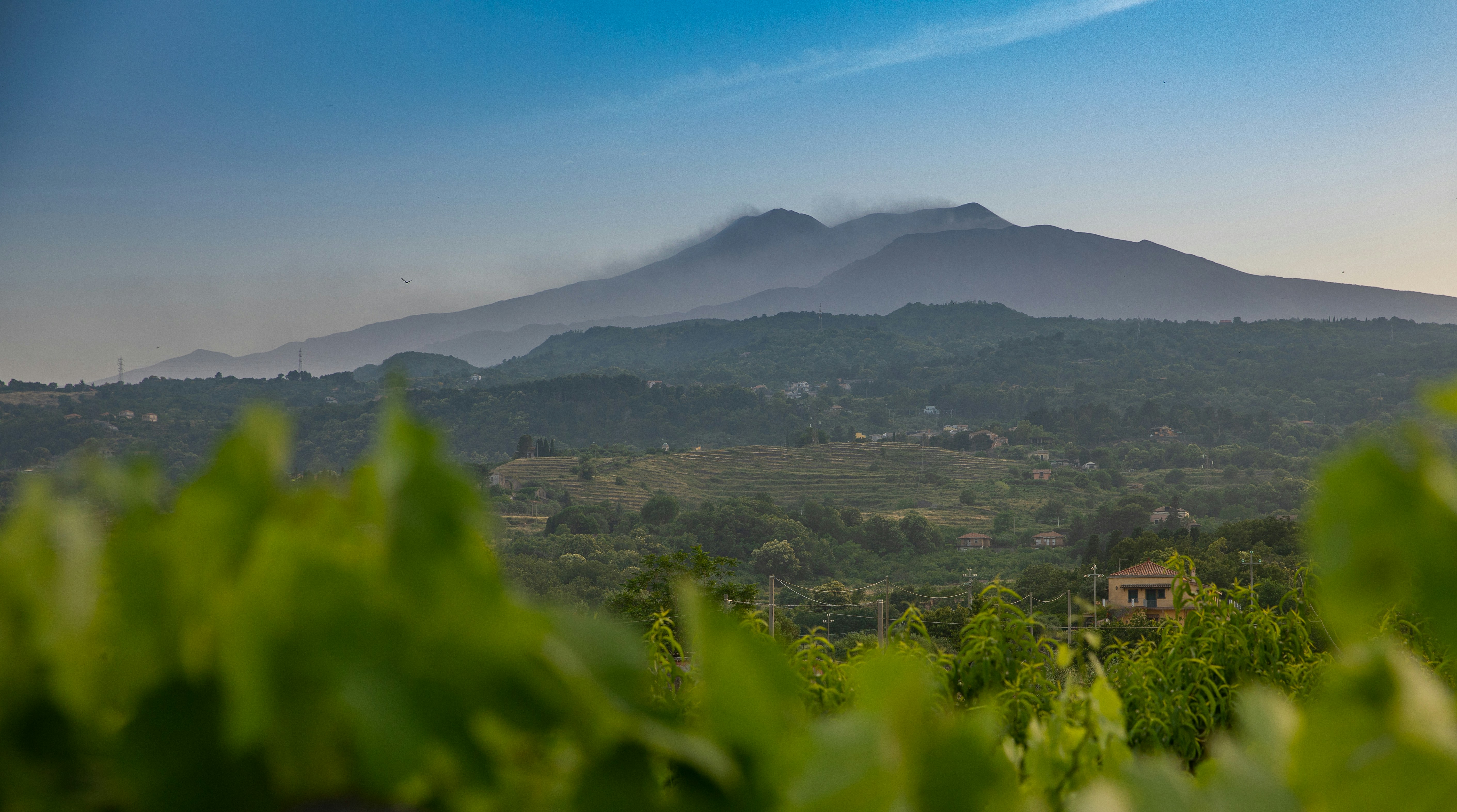 Photo by armandsbrants