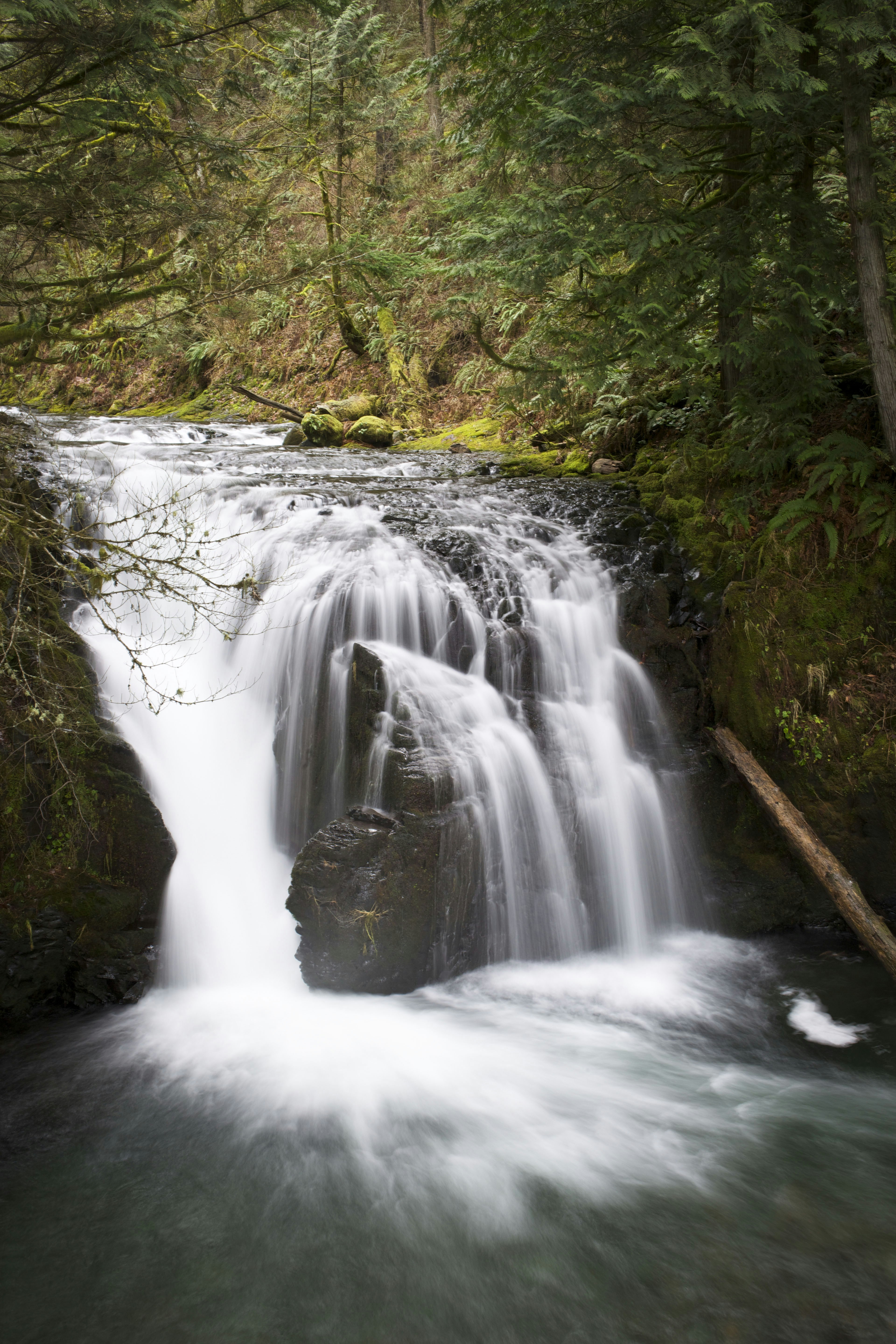 Photo by leo_visions_