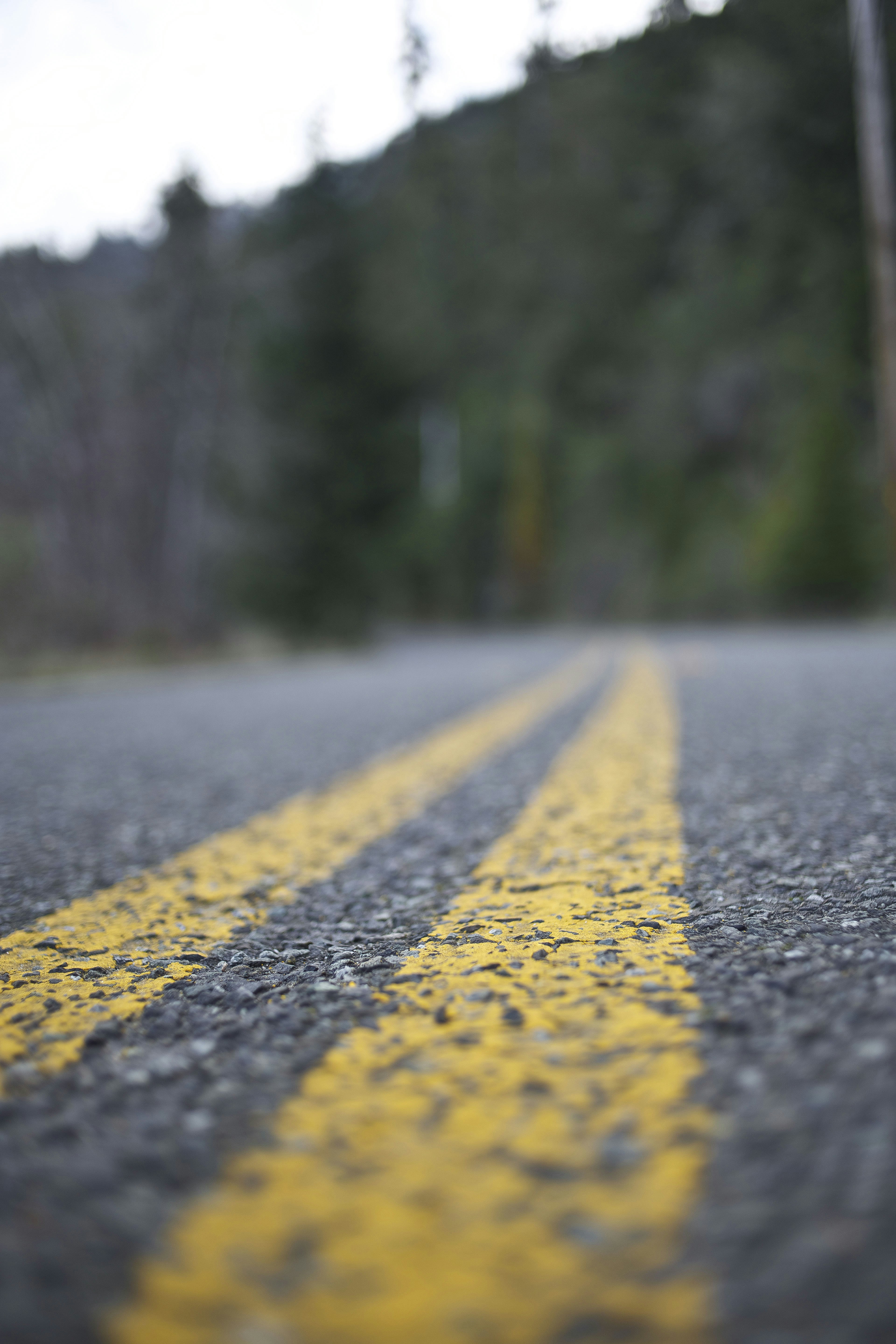 Photo by leo_visions_