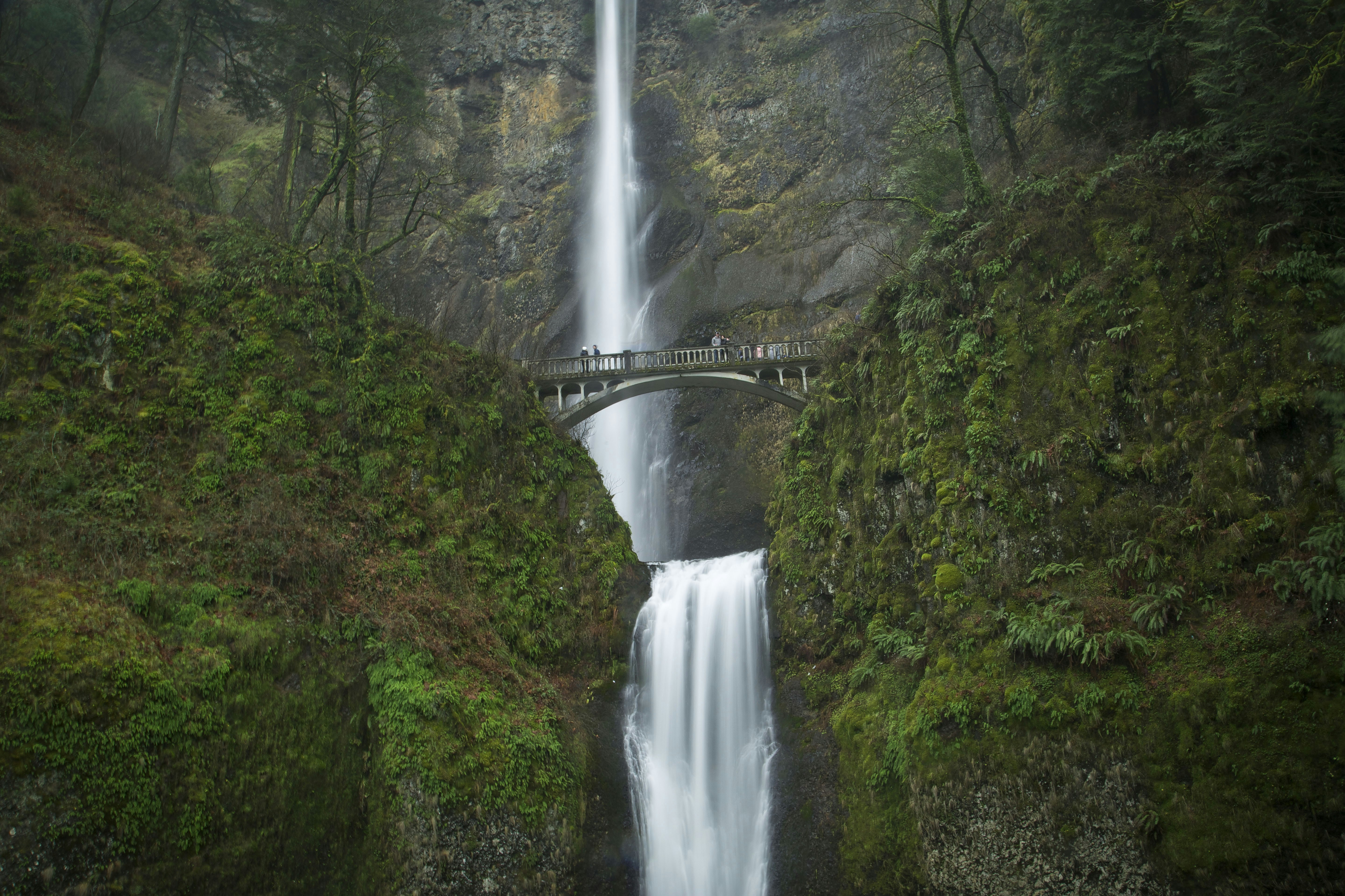 Photo by leo_visions_