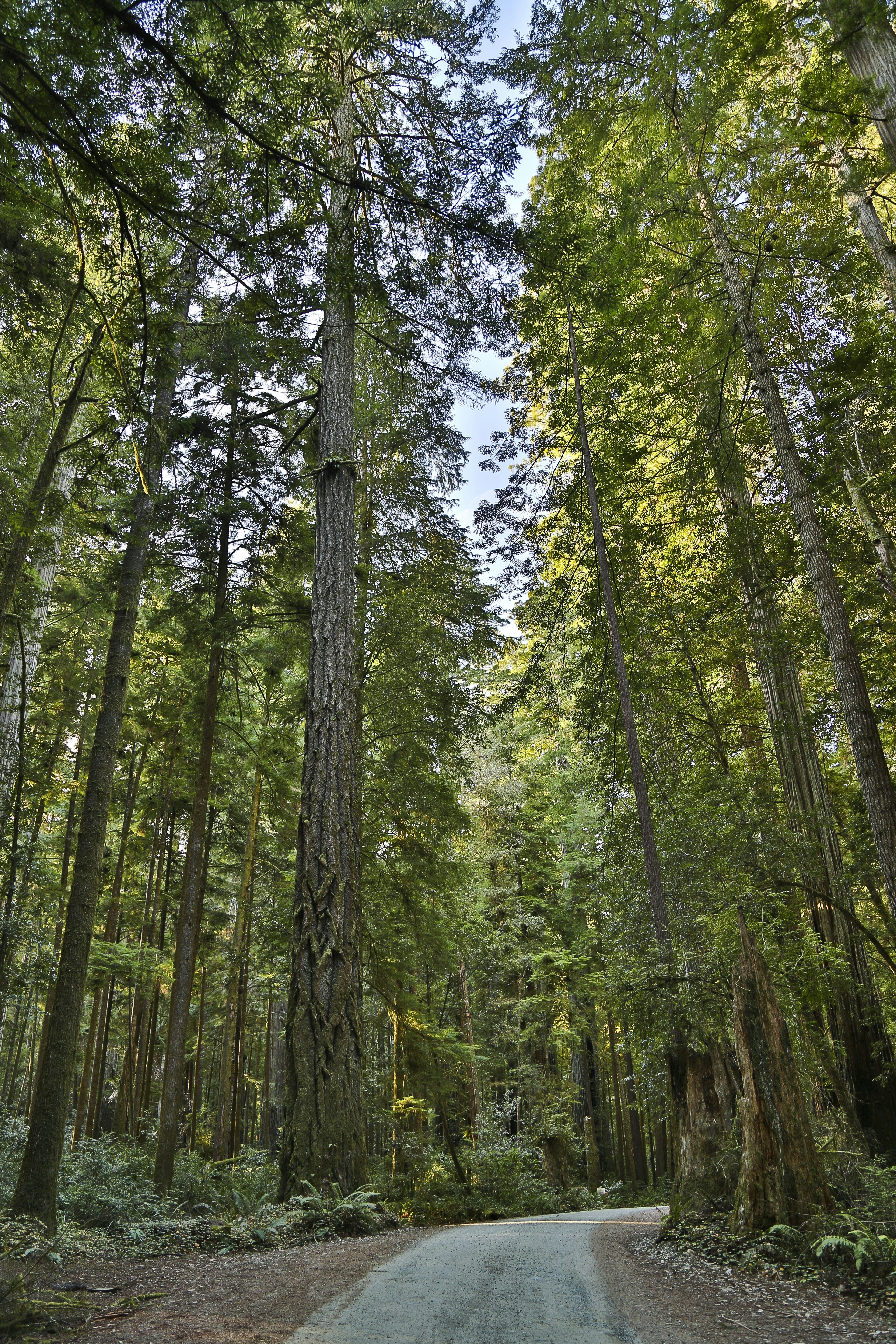 Photo by leo_visions_