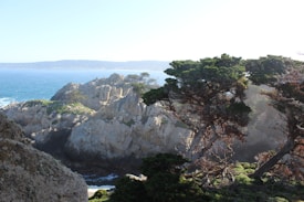 A scenic coastal landscape featuring rugged cliffs and rocky formations alongside the ocean. The coastline is lined with stunted trees with twisted branches, adding a dramatic element to the scene. The sea is visible in the background, creating a serene and natural atmosphere.