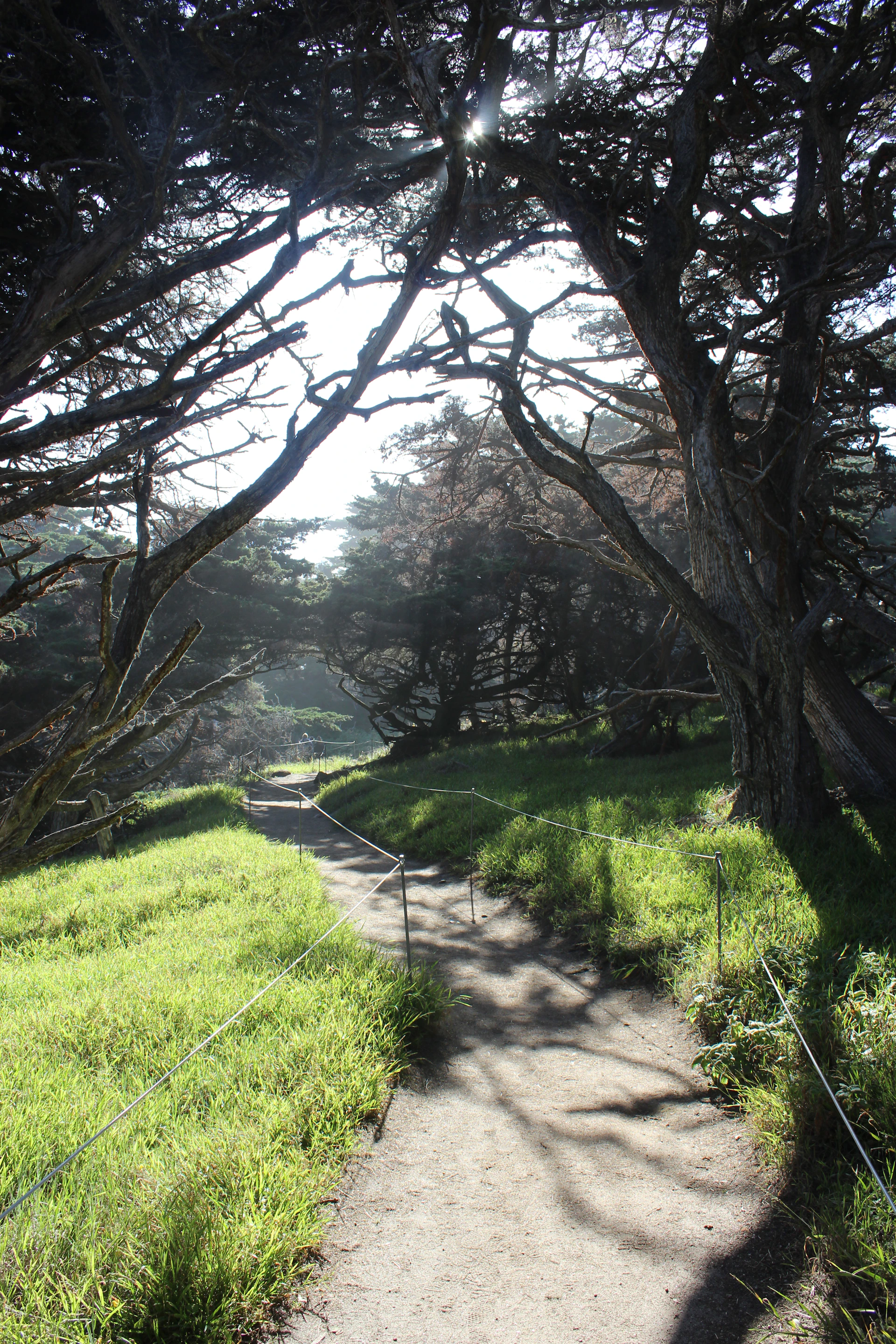 woman wearing yellow long-sleeved dress under white clouds and blue sky during daytime