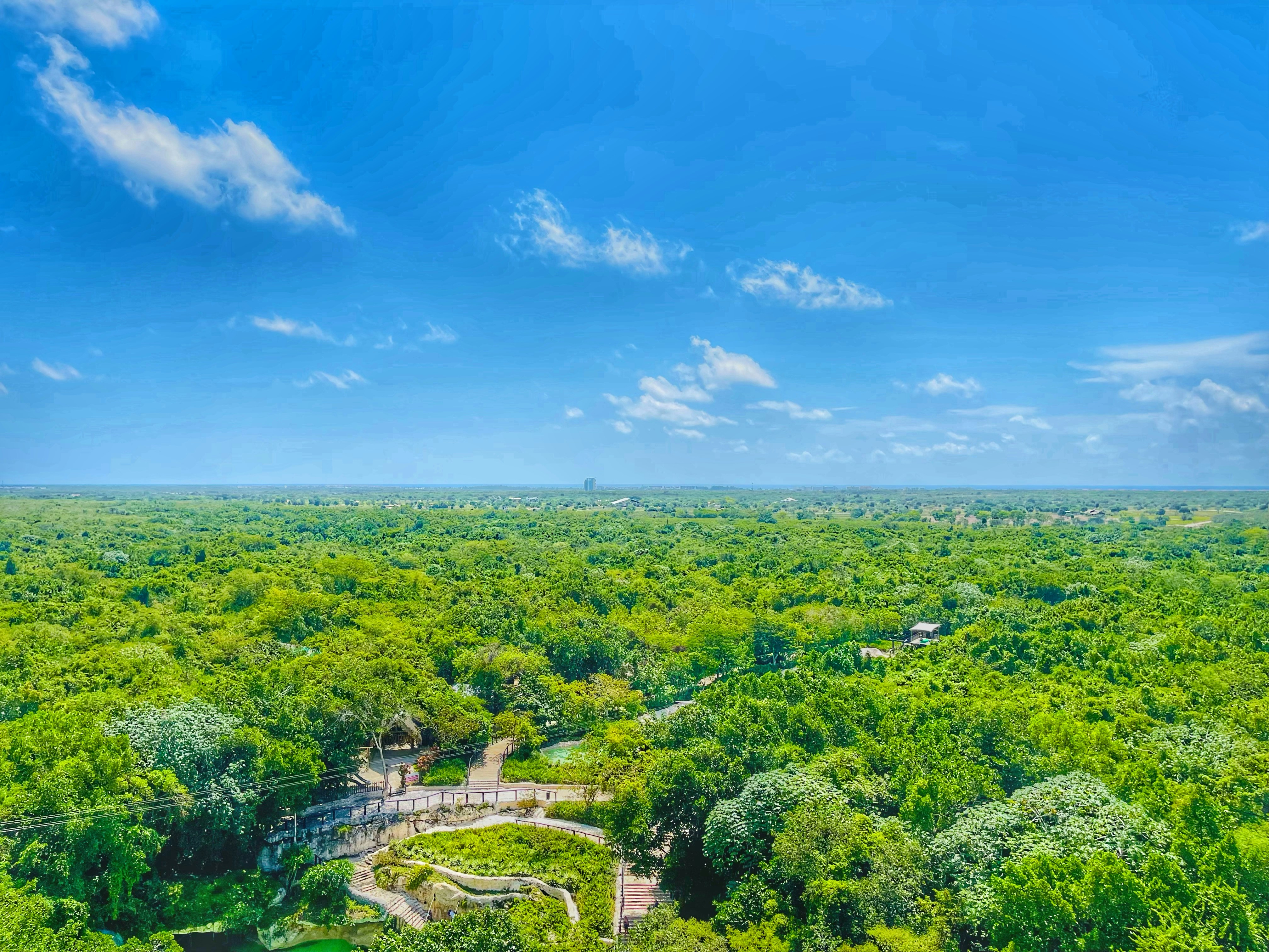 Photo by scarlindecooo