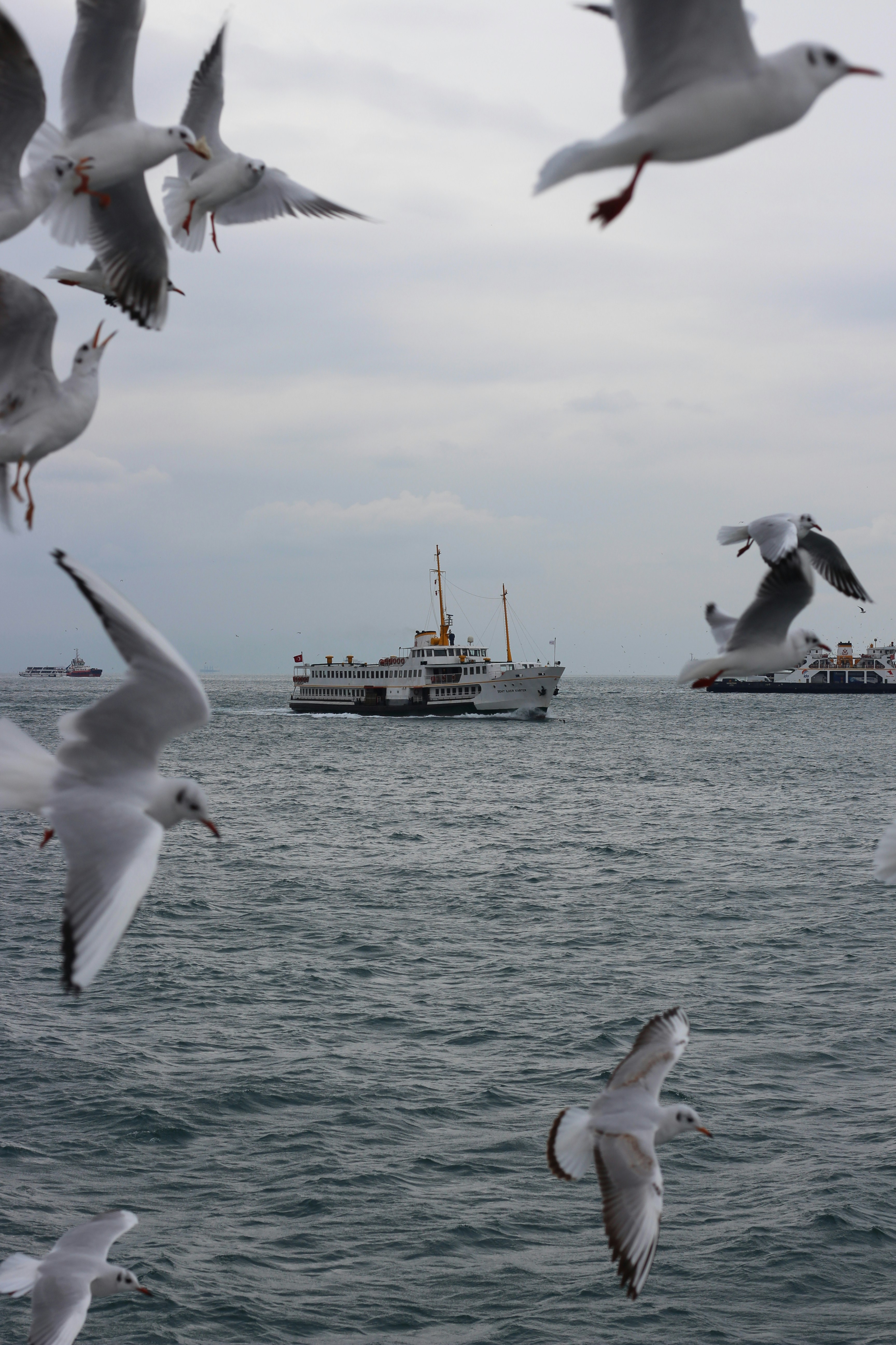 Photo by humayardim