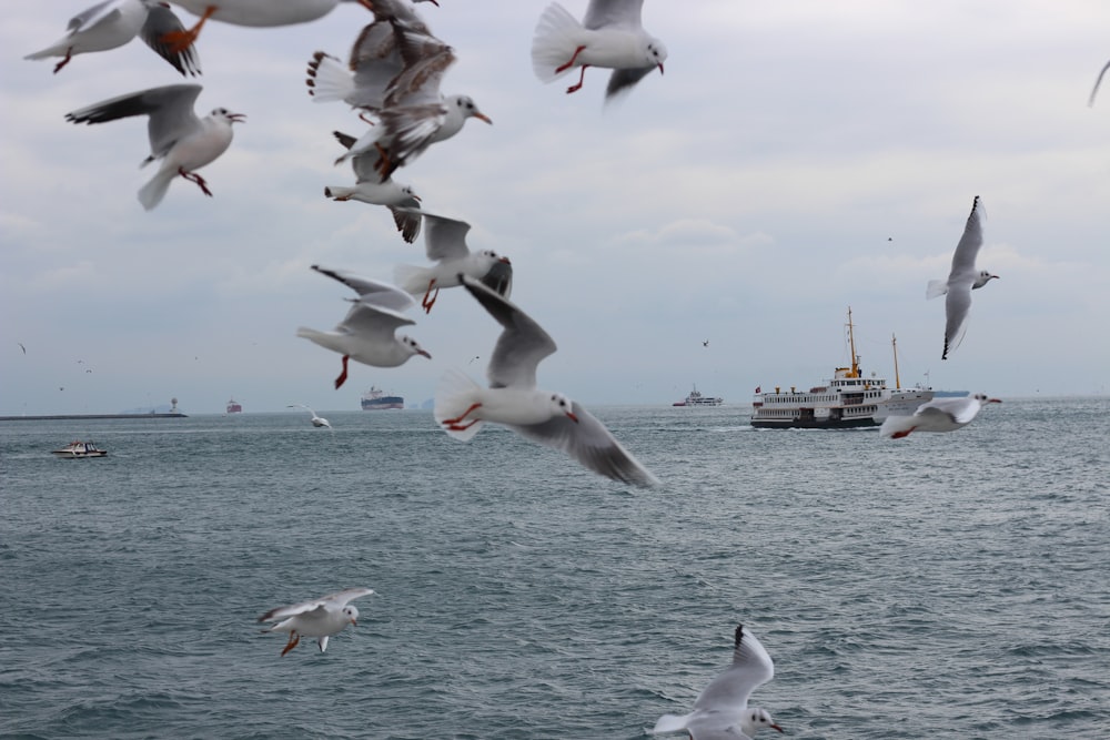 a flock of seagulls flying over a body of water