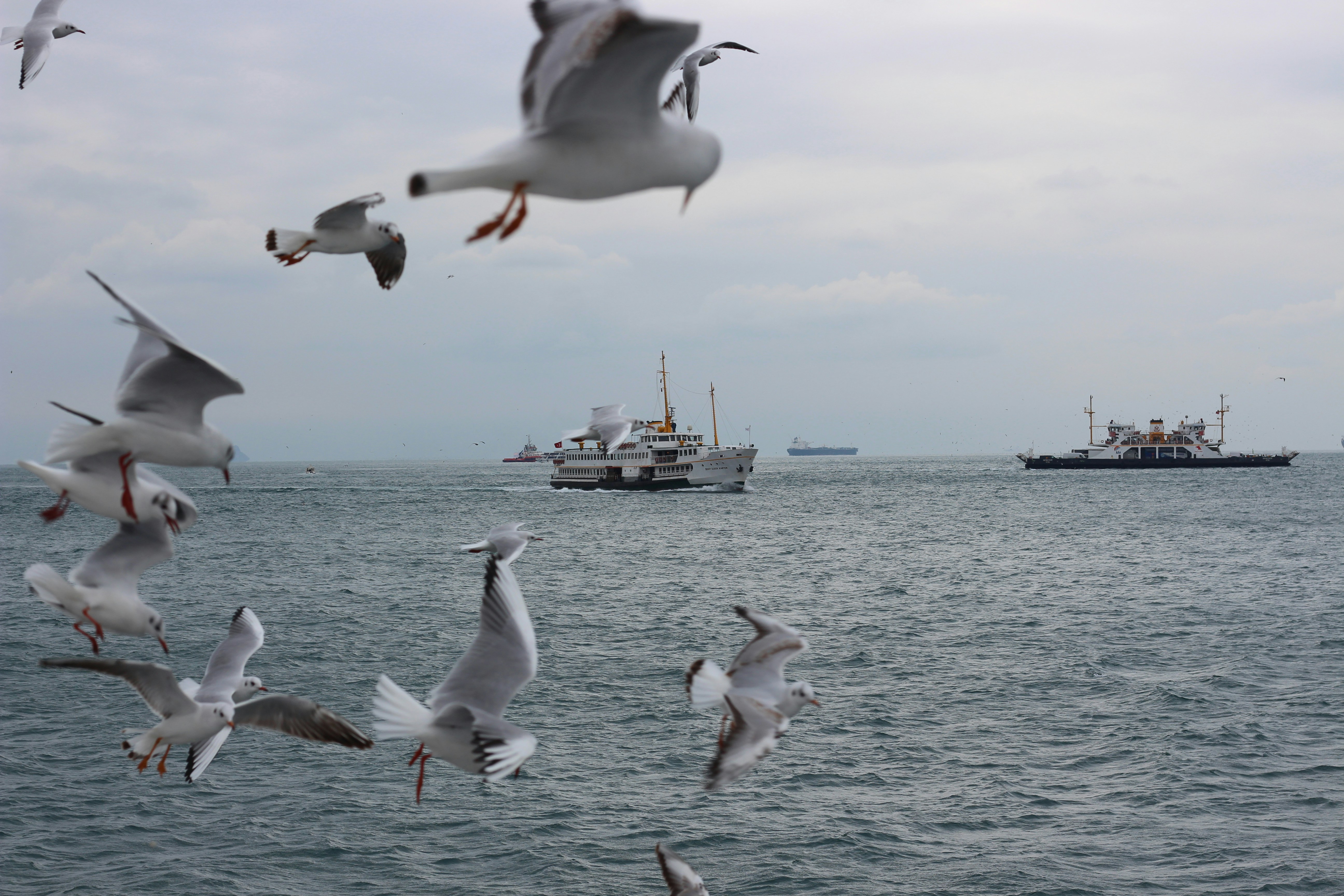 Photo by humayardim