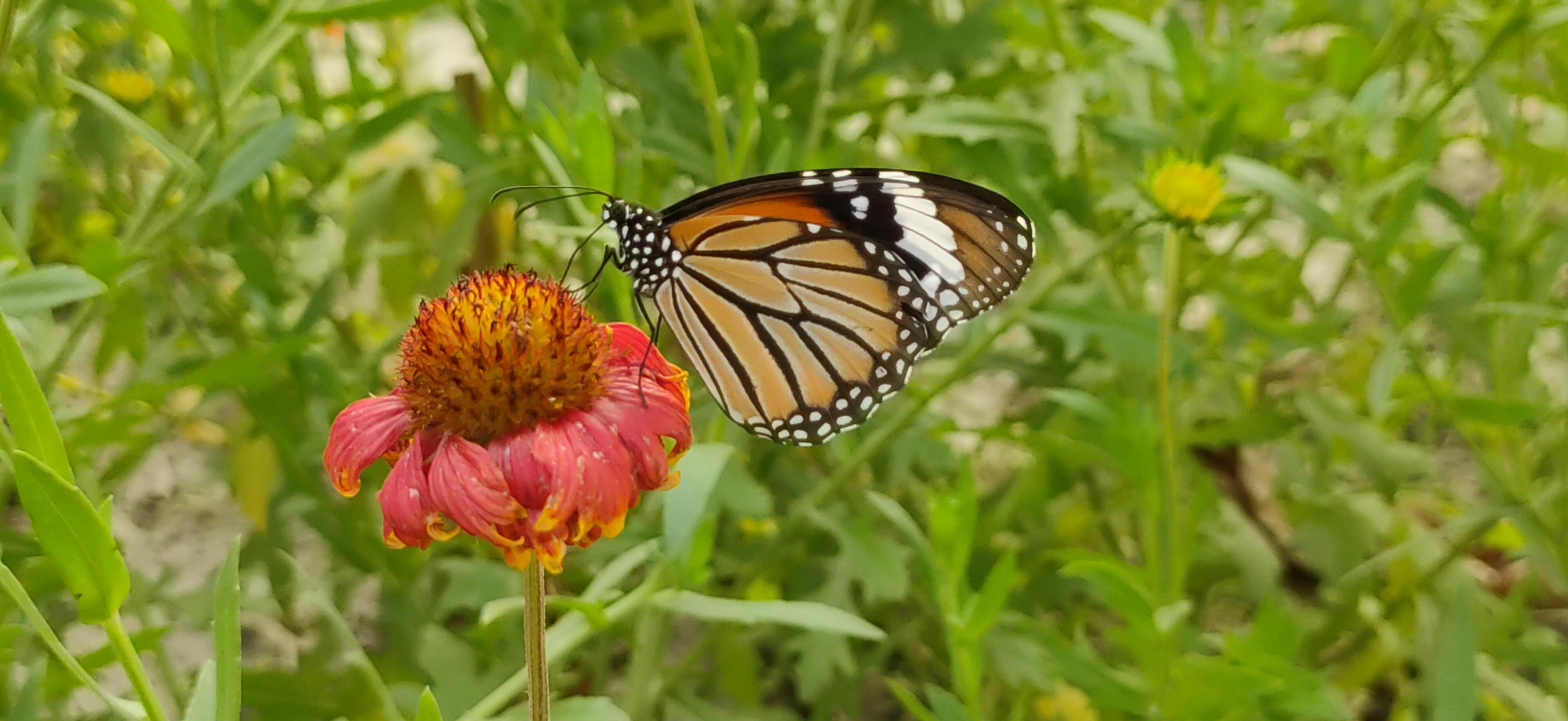 Photo by irshad_blue