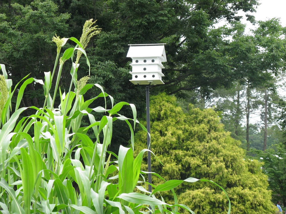 a white bird house sitting on top of a lush green field