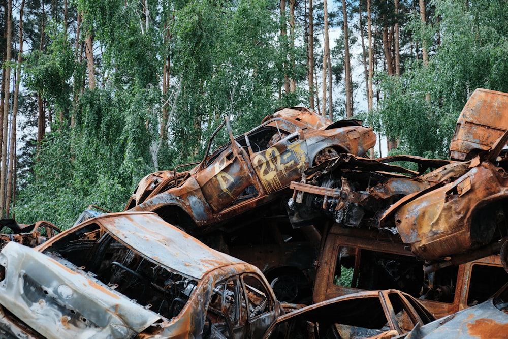a pile of burnt out cars in a forest