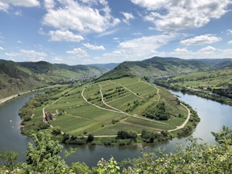 A scenic view of the Douro Valley showcasing sustainable tourism.