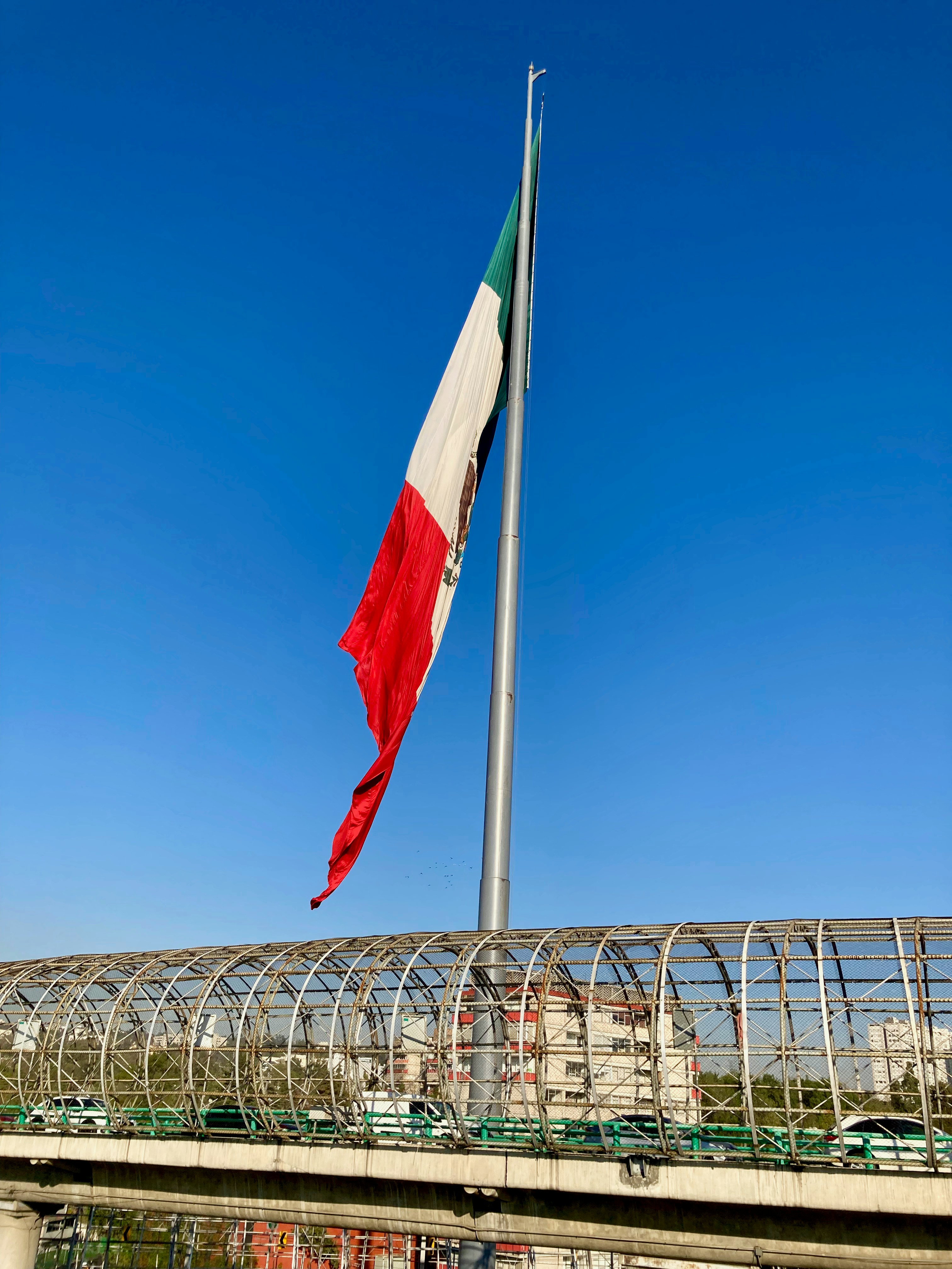 a flag on a pole next to a bridge