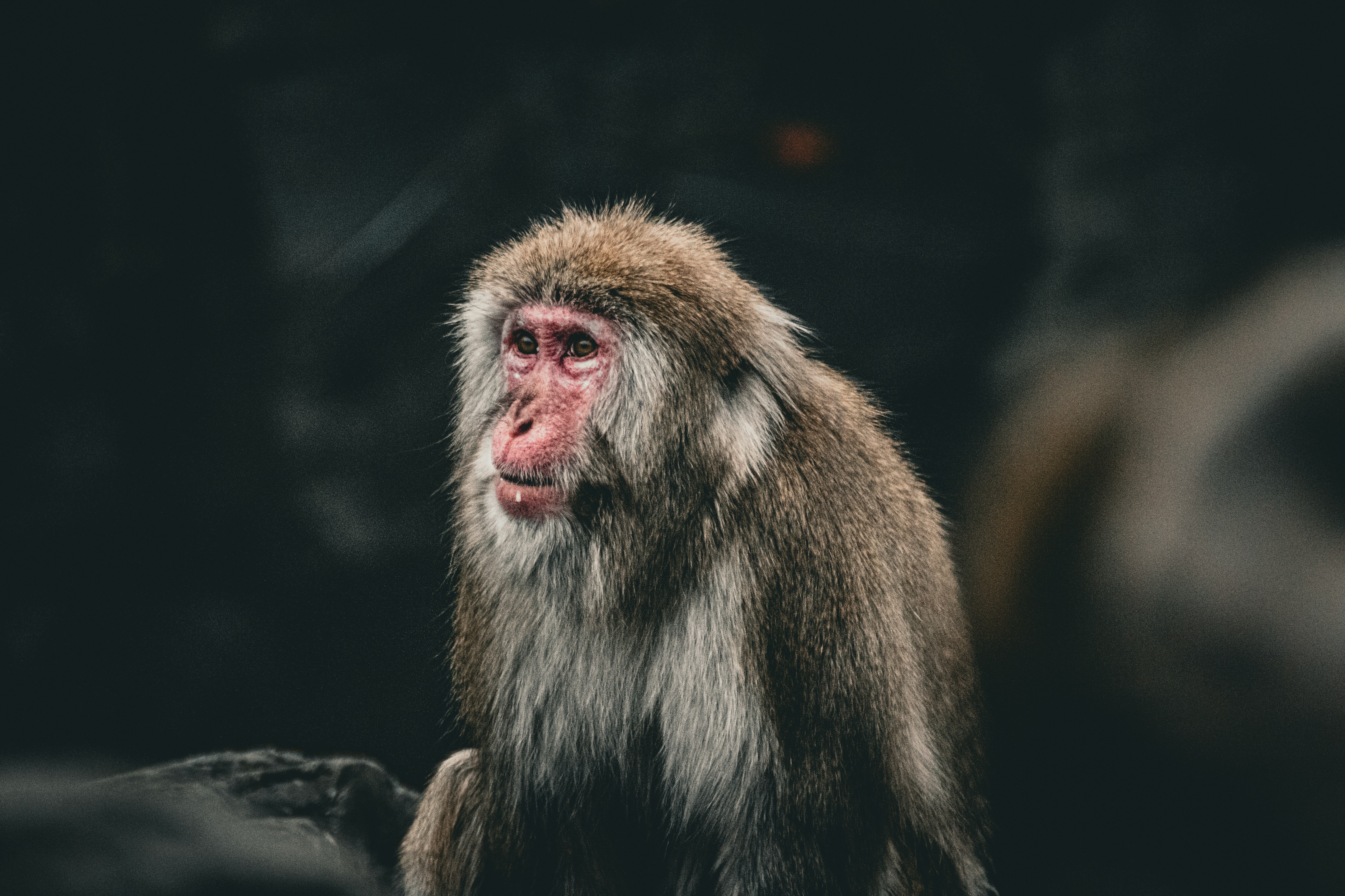 Modern Stress Response Evolution (image credits: unsplash)