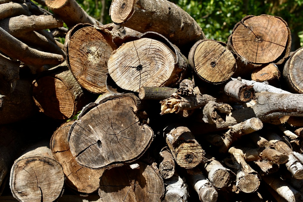 Framing Timber
