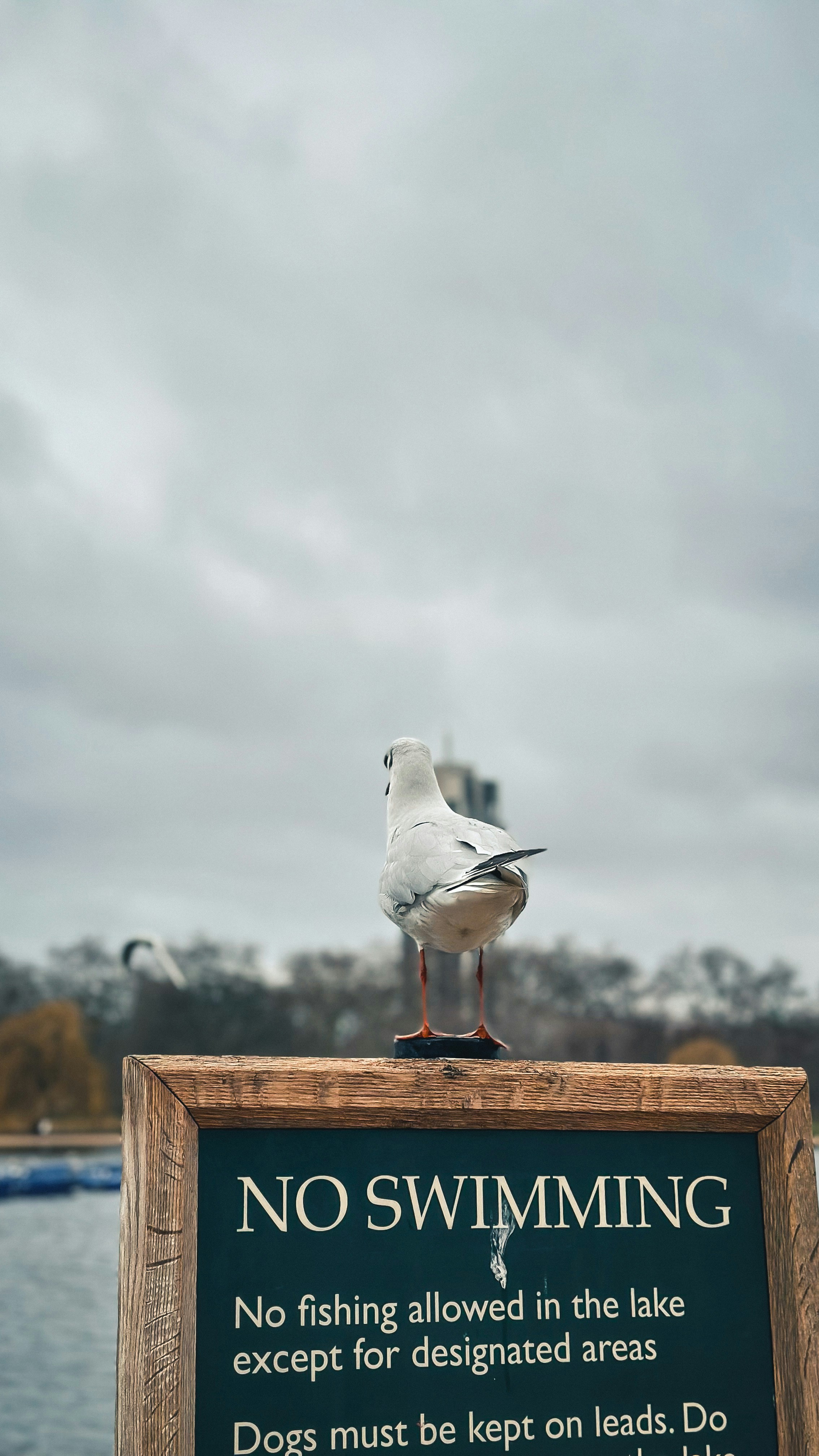 Photo by saidyigitcamlica