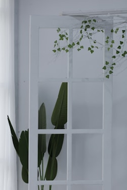 A serene garden scene of the beloved tree of life daycare with soft natural light and minimalist design.