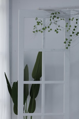 photo 1675039258062 dc06188b9f04?q=85&w=700&h=400&fit=crop