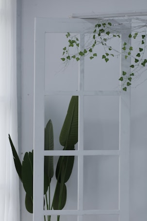 A minimalist interior scene features a white wooden structure with rectangular openings. Green leaves and vine-like branches extend over the structure, adding a touch of natural greenery. The soft lighting and simple design create a serene atmosphere.