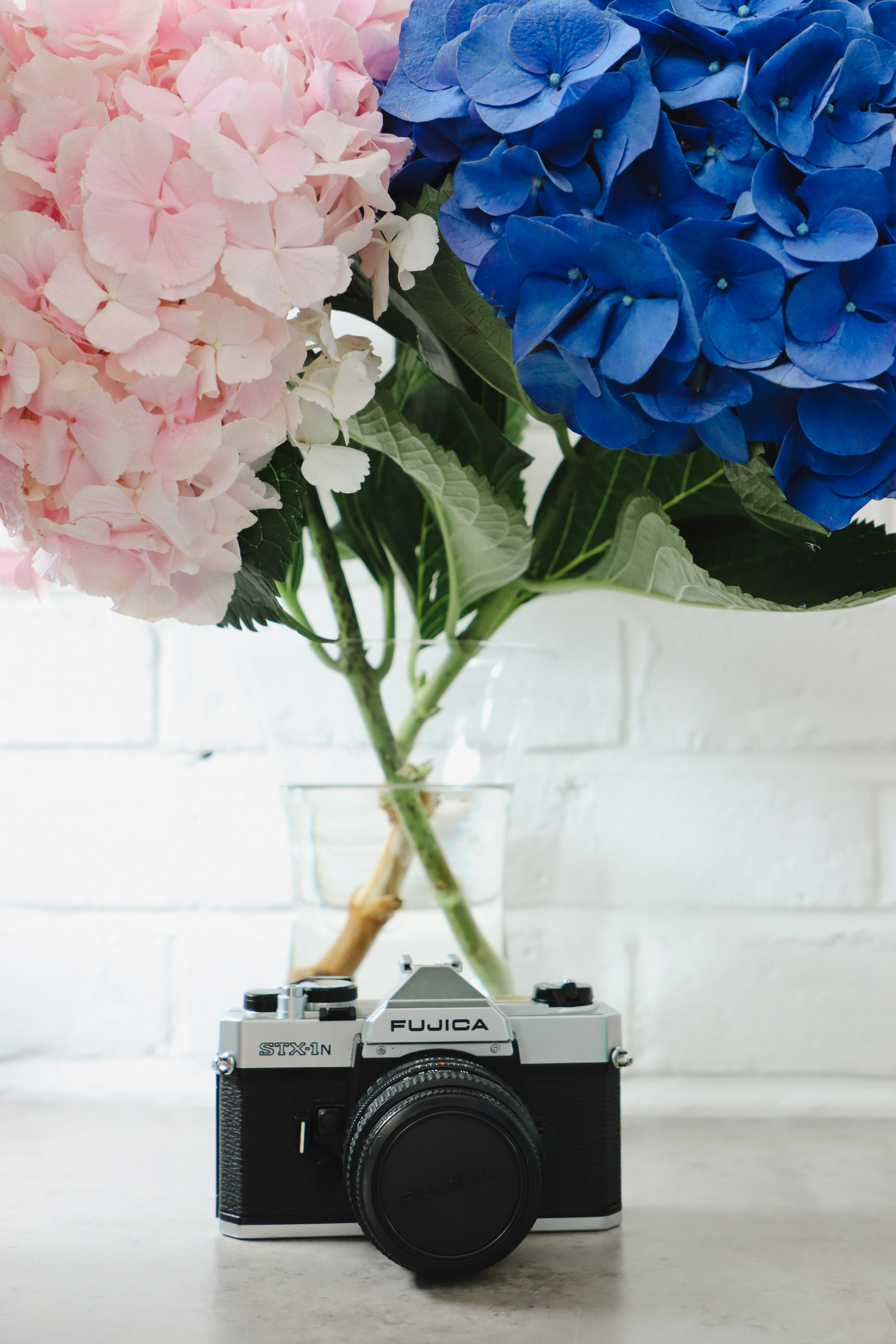 Photo by estefi_galeria