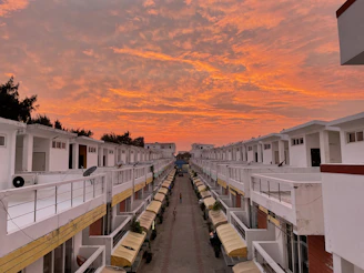 A row of sleek, modern townhomes bathed in warm sunset light with palm trees lining the street.