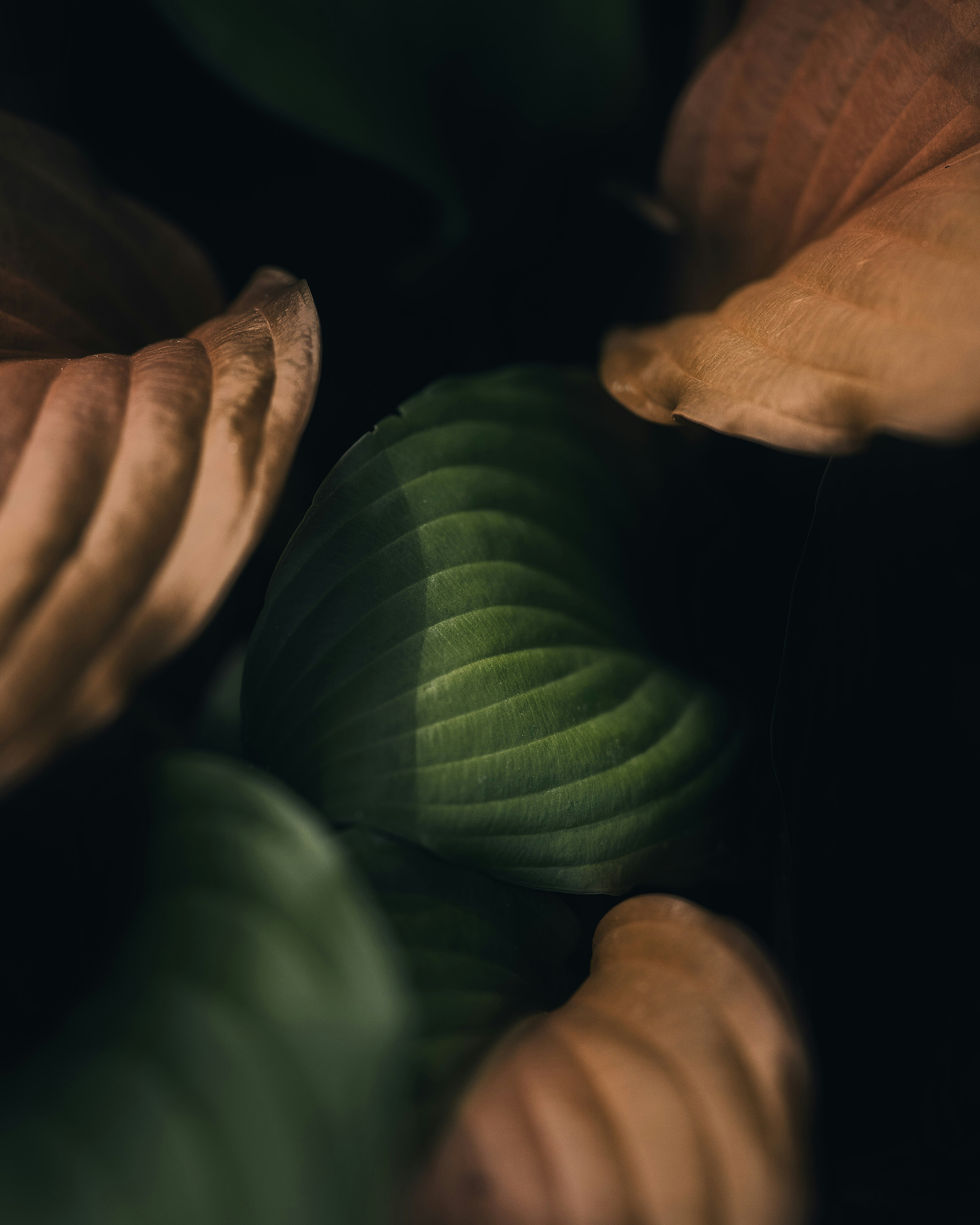 Photo by edgar_infocus