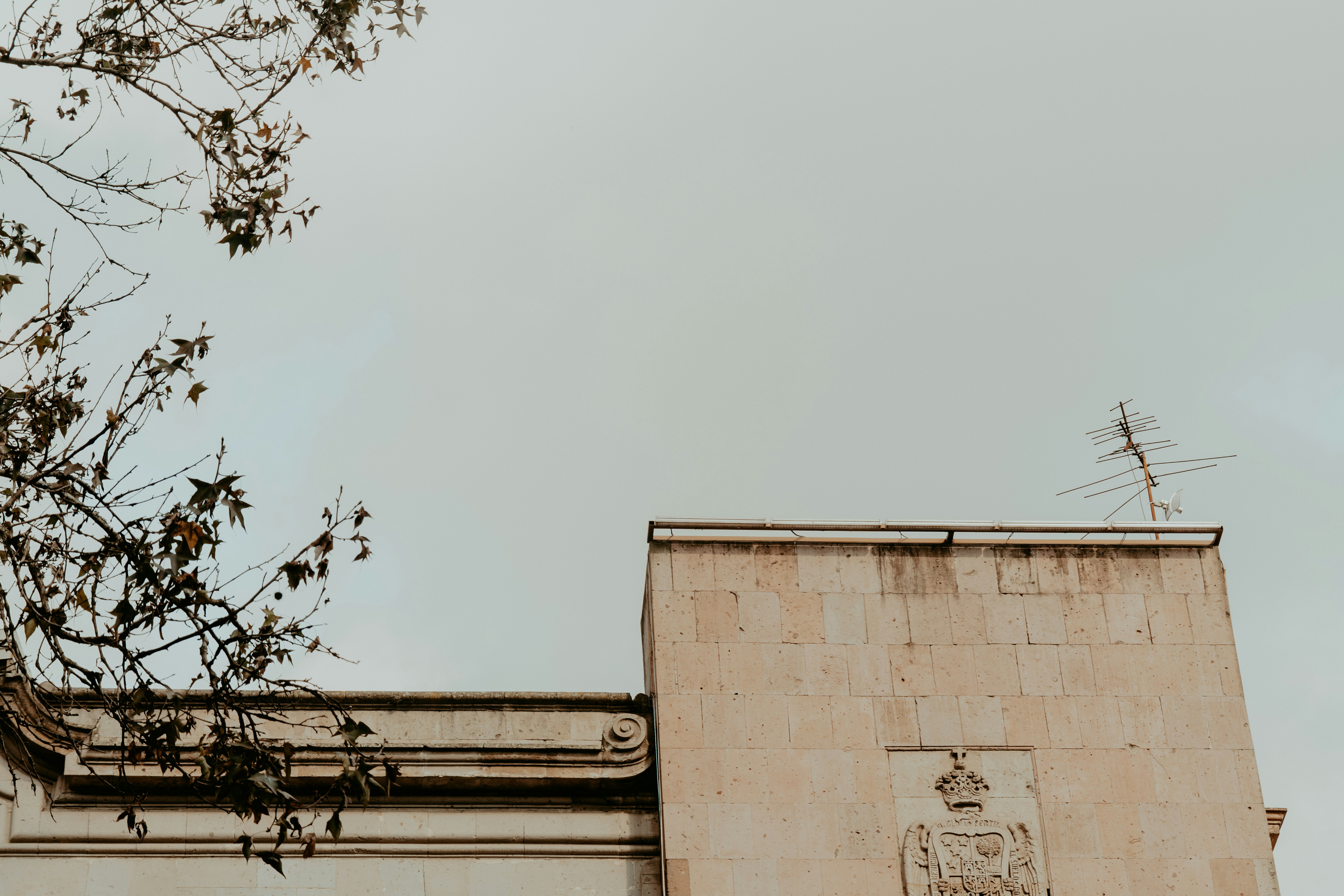 Photo by jbccreative