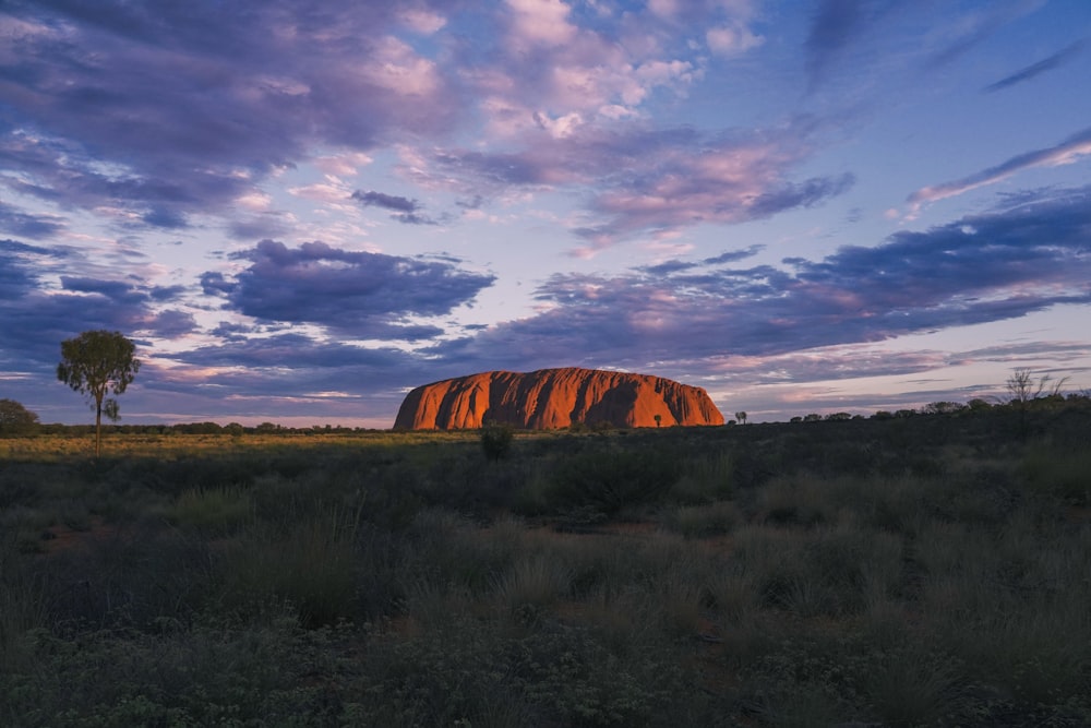 a large rock in the middle of a field