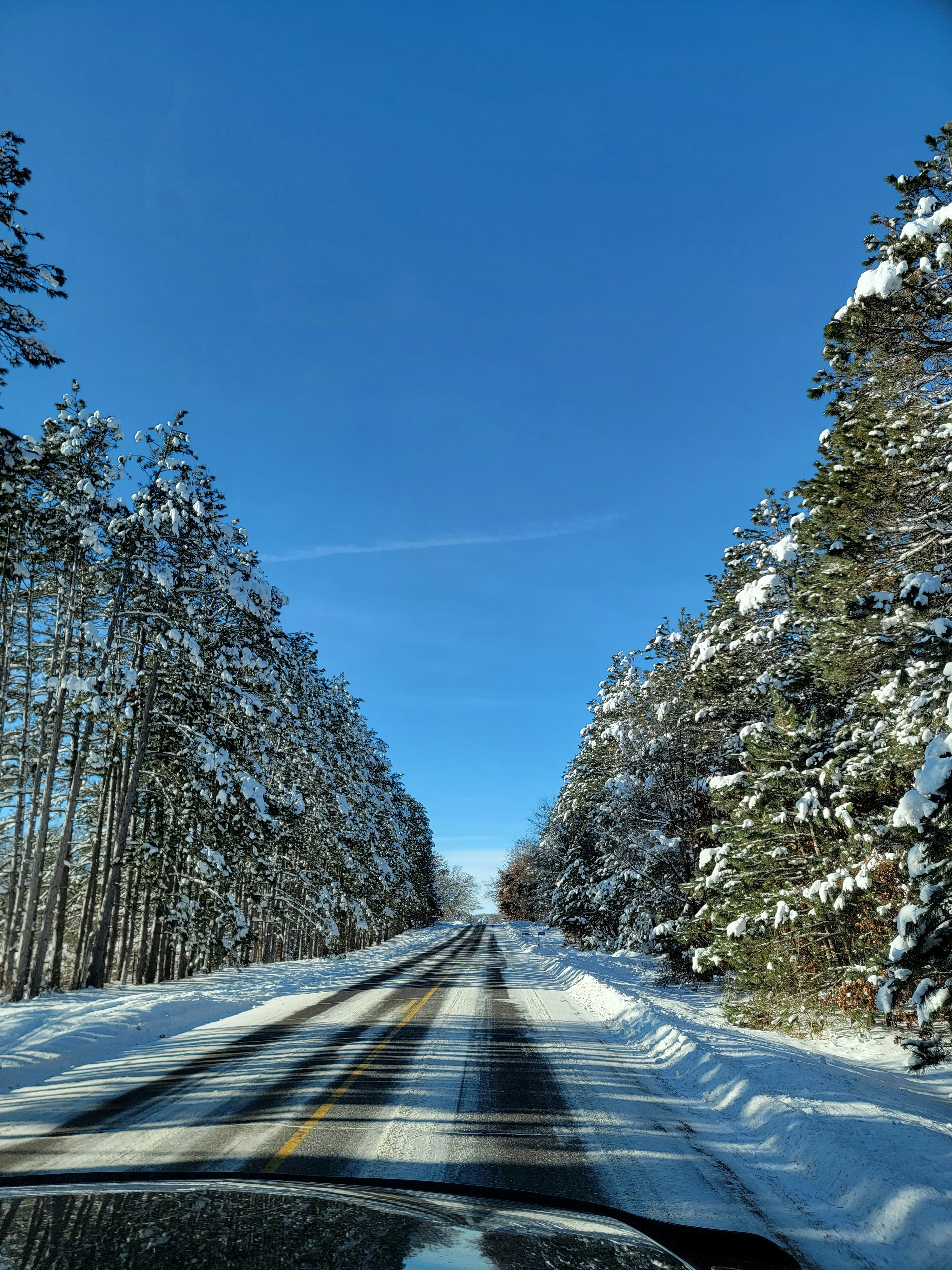 Photo by patrishia_renee