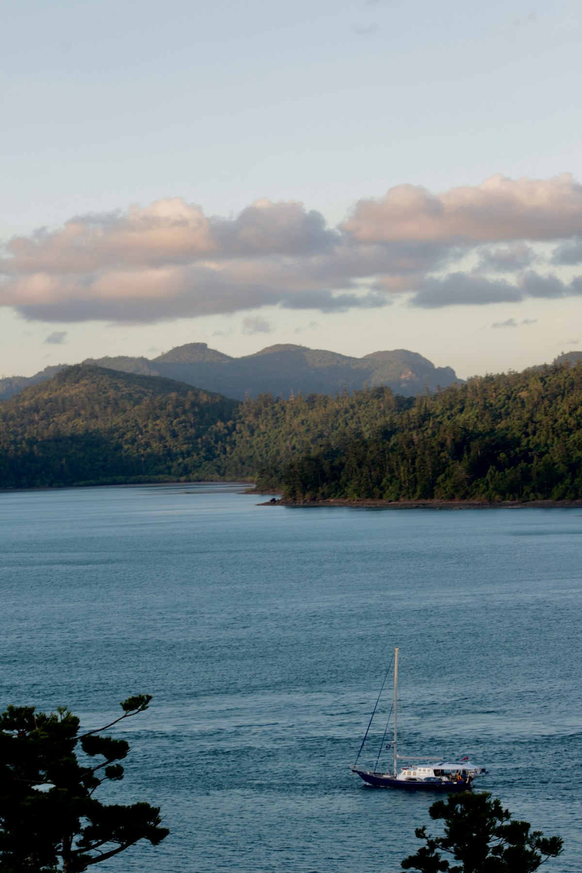 Airlie Beach lagoon and marina with sailing yachts at sunset